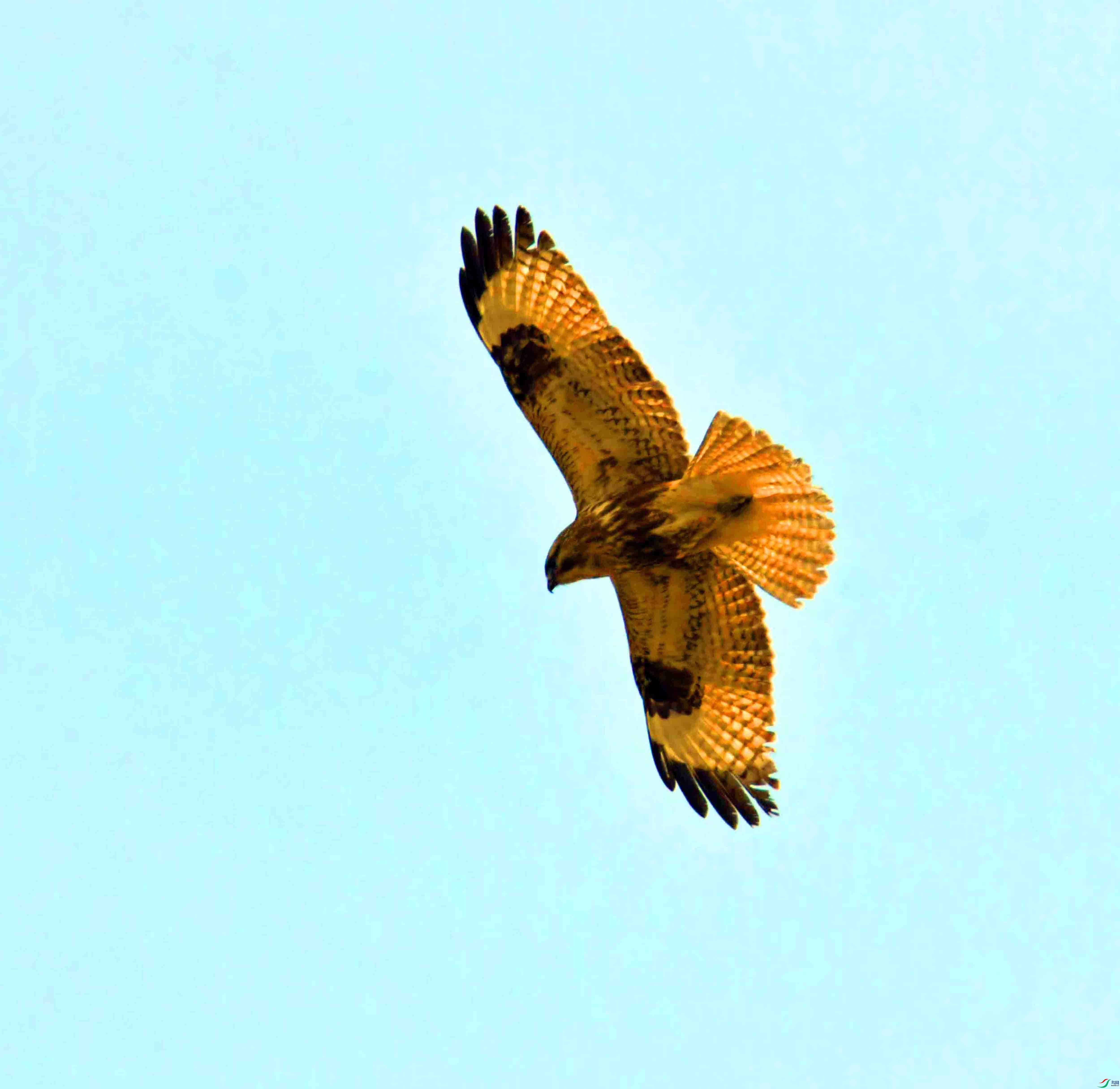 DSC_3778.JPG