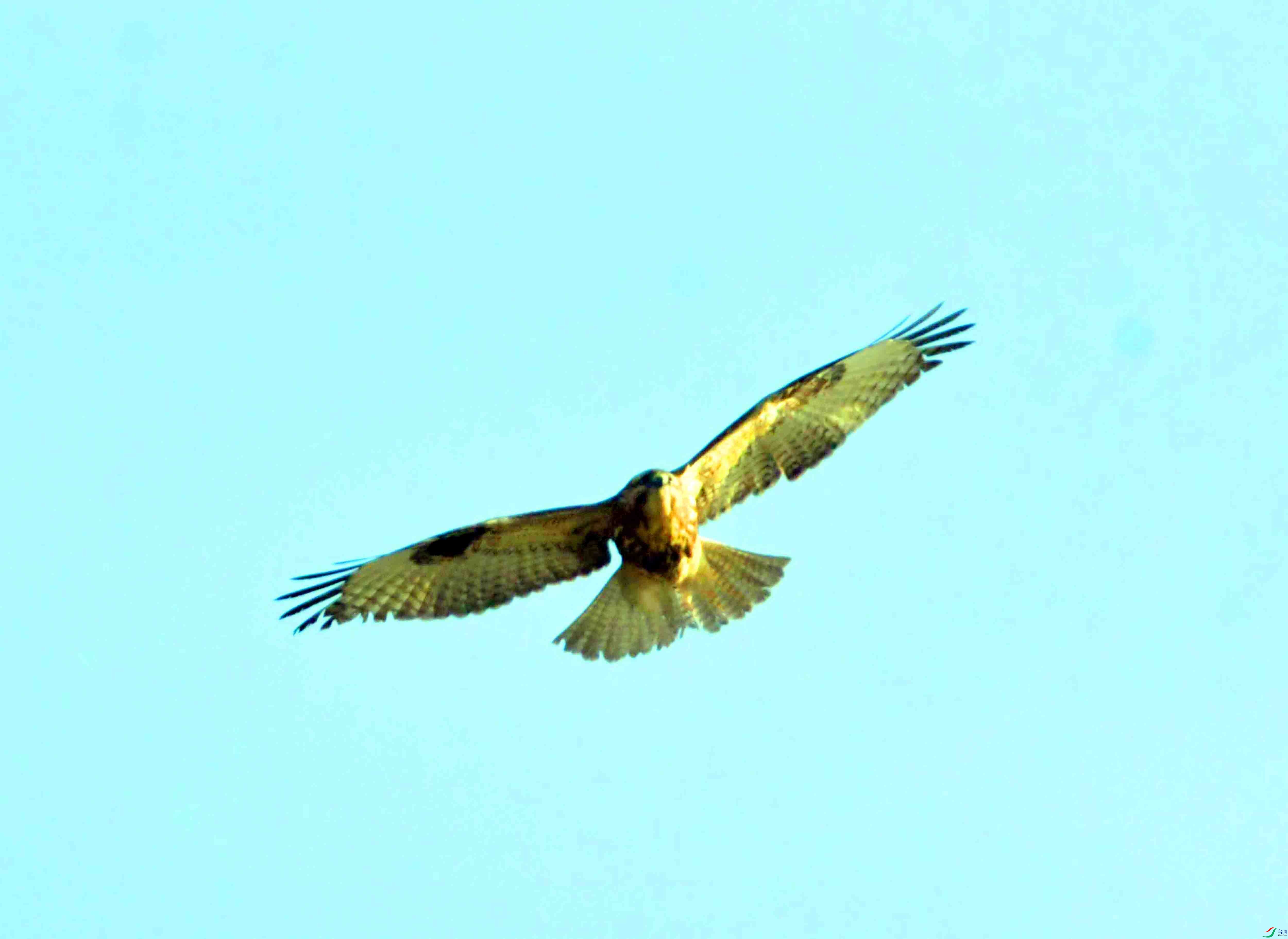 DSC_3784.JPG