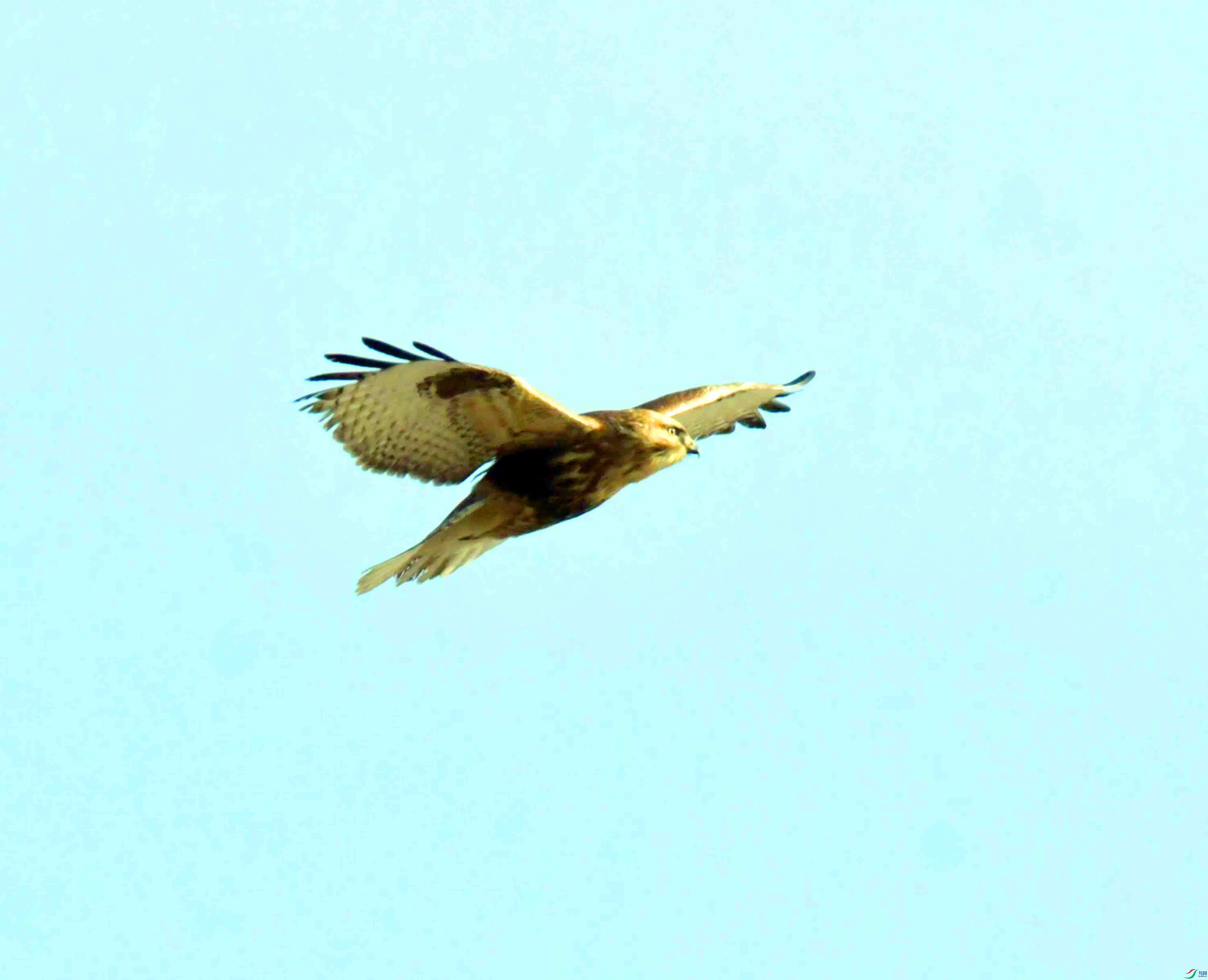 DSC_3780.JPG