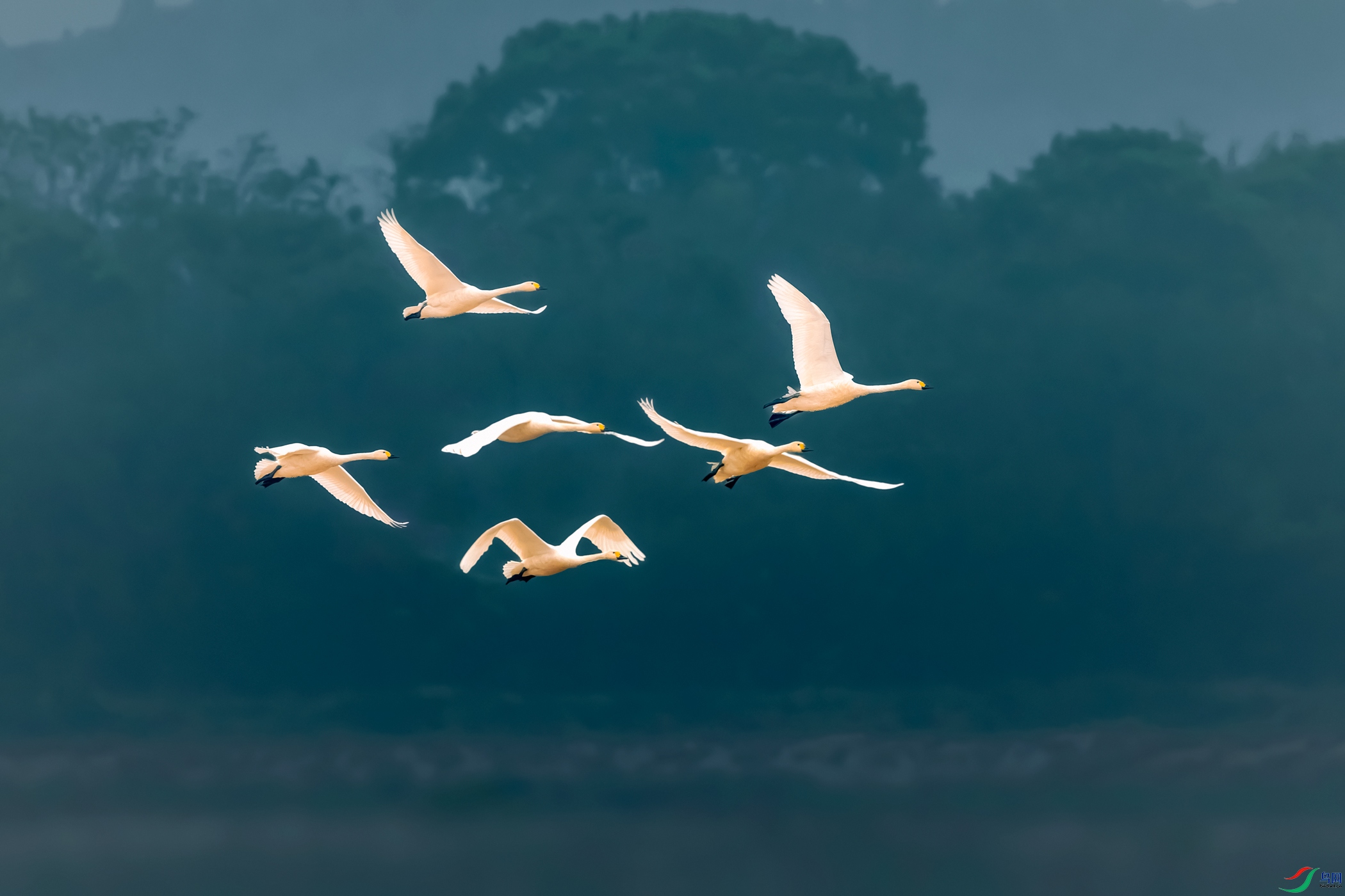 С���----��ɫ���������