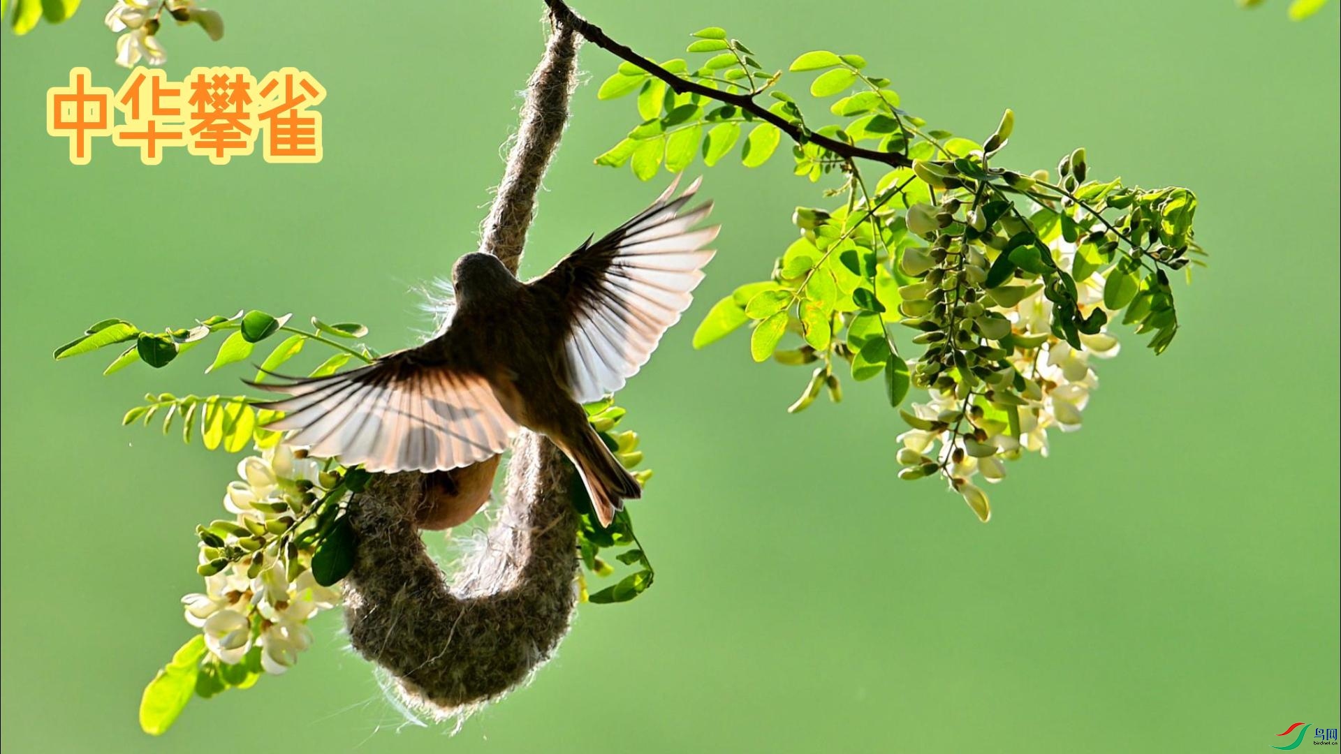 �л���ȸ  ��֯����-����.jpg