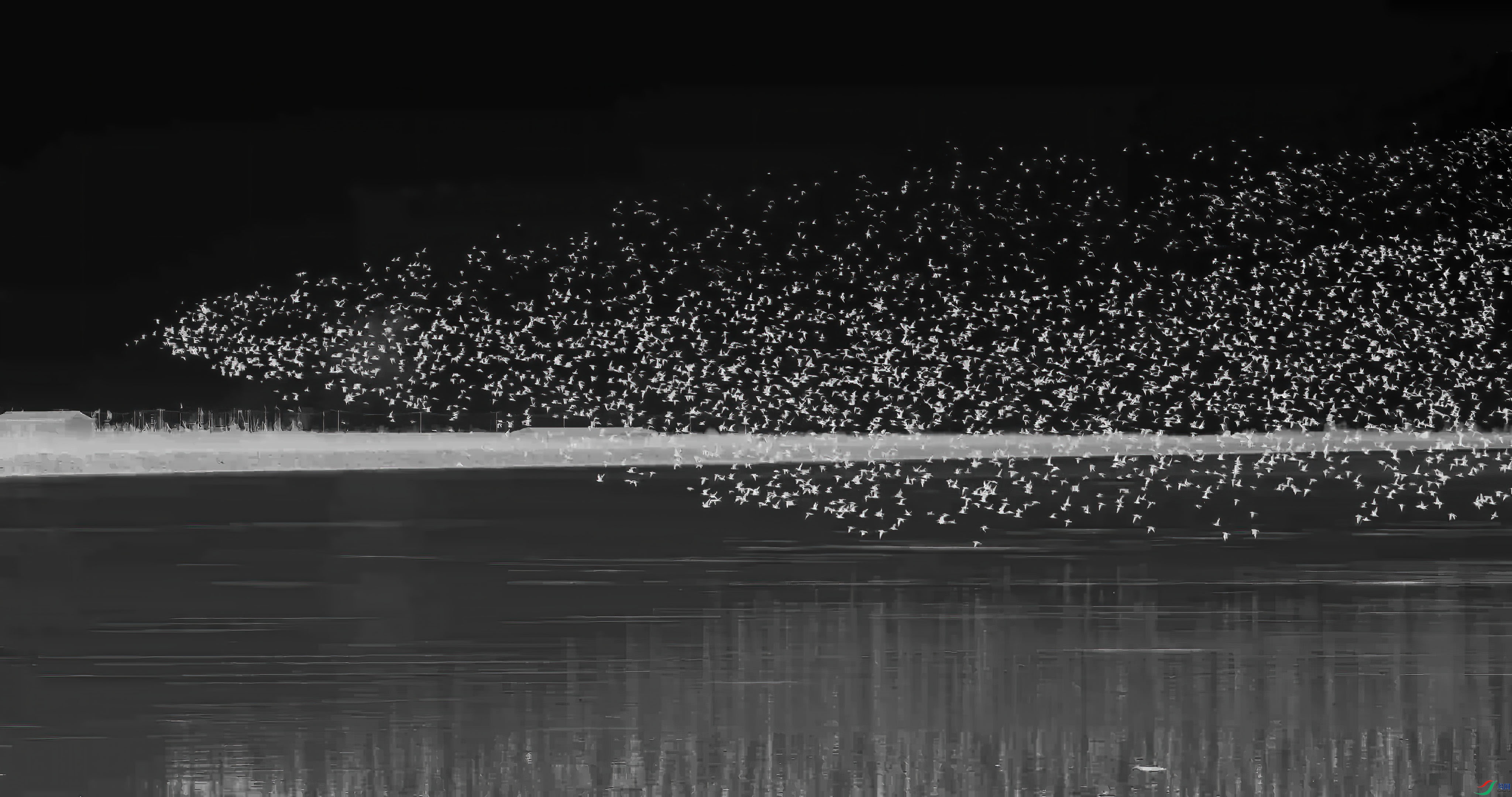 ��֡ 2025-08-18 201717_1.1.13.jpg