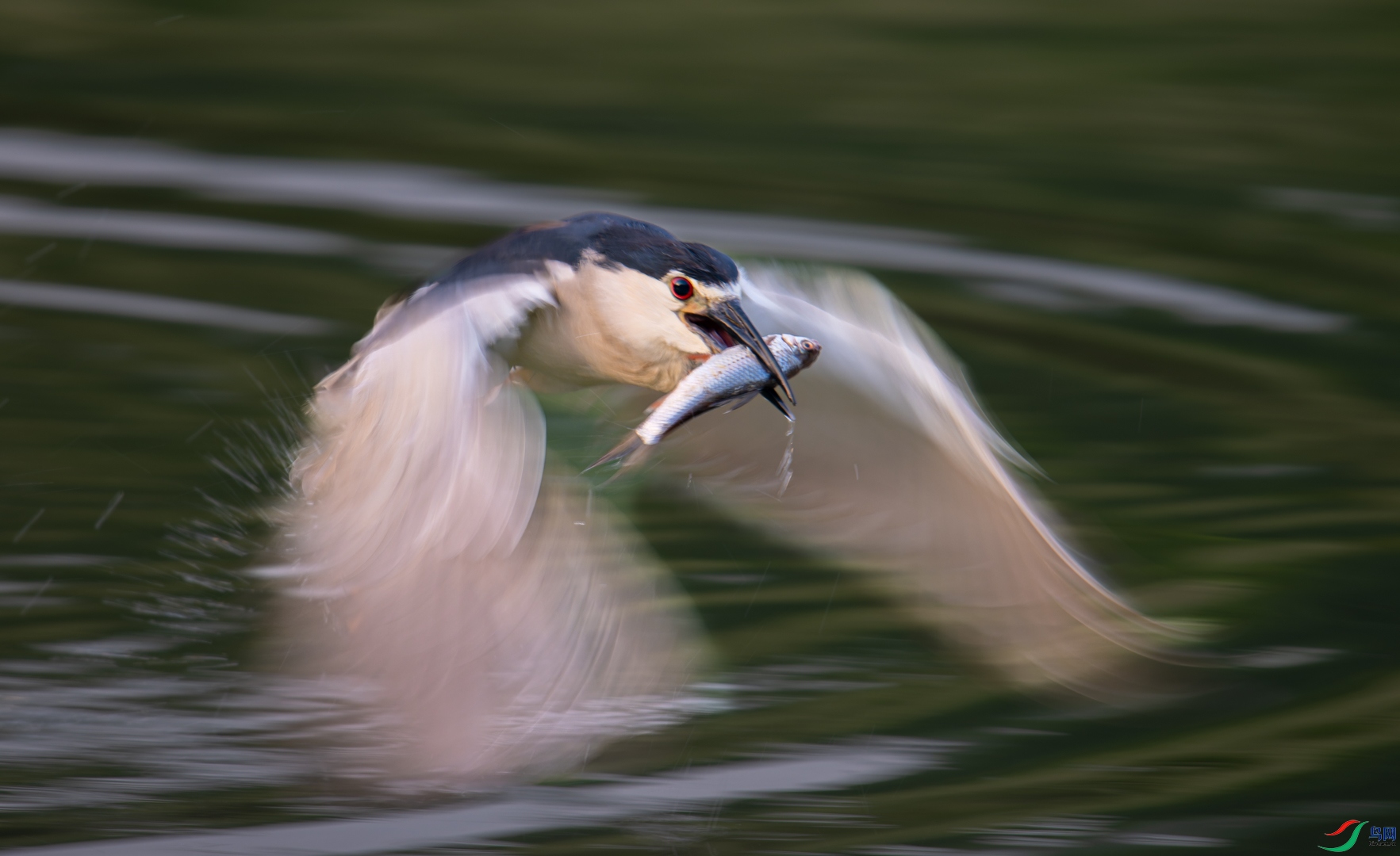 DSC_6367-DxO_DeepPRIME XD2s_XD-2.jpg