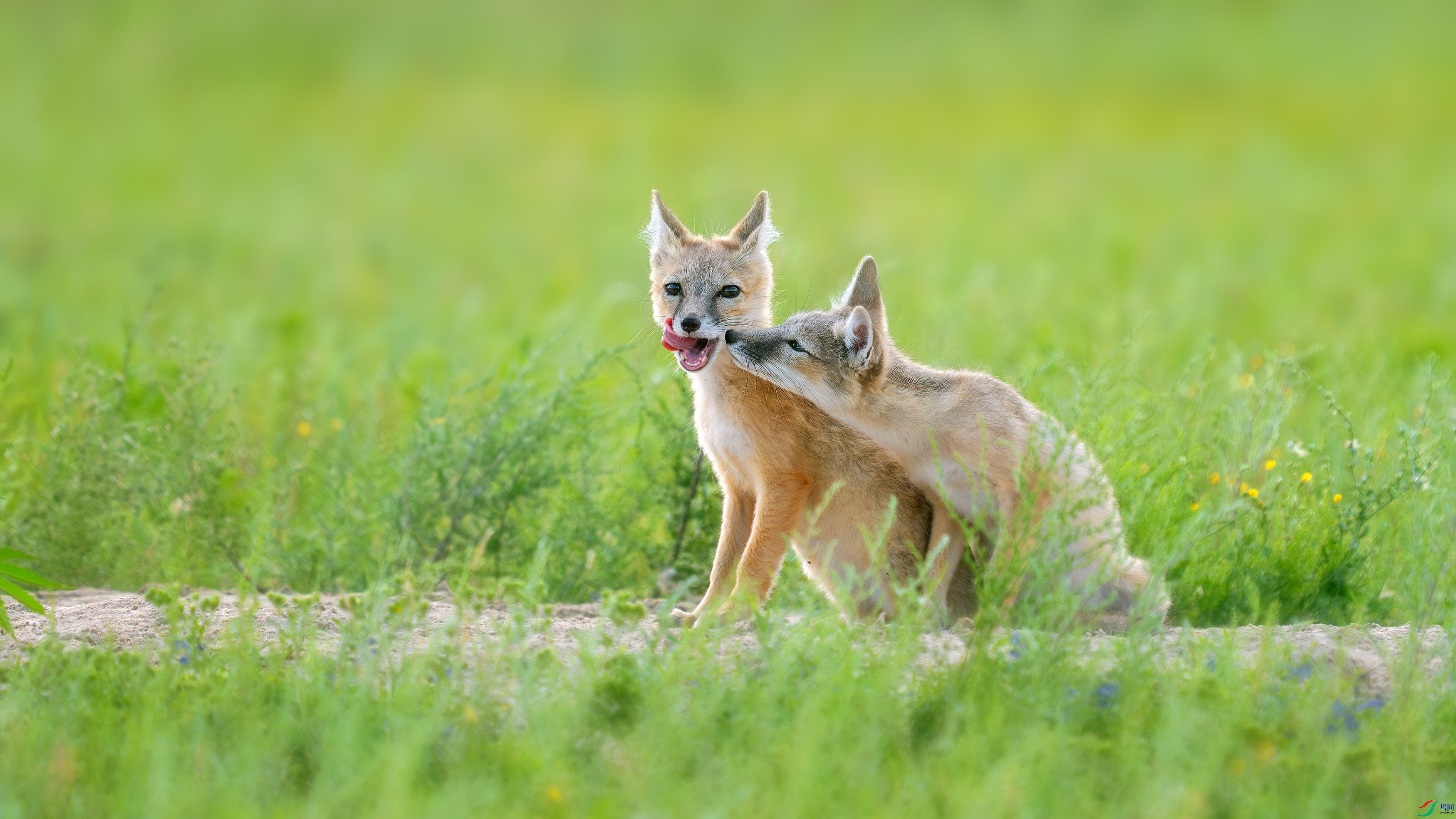 _DSC9076 ����.jpg