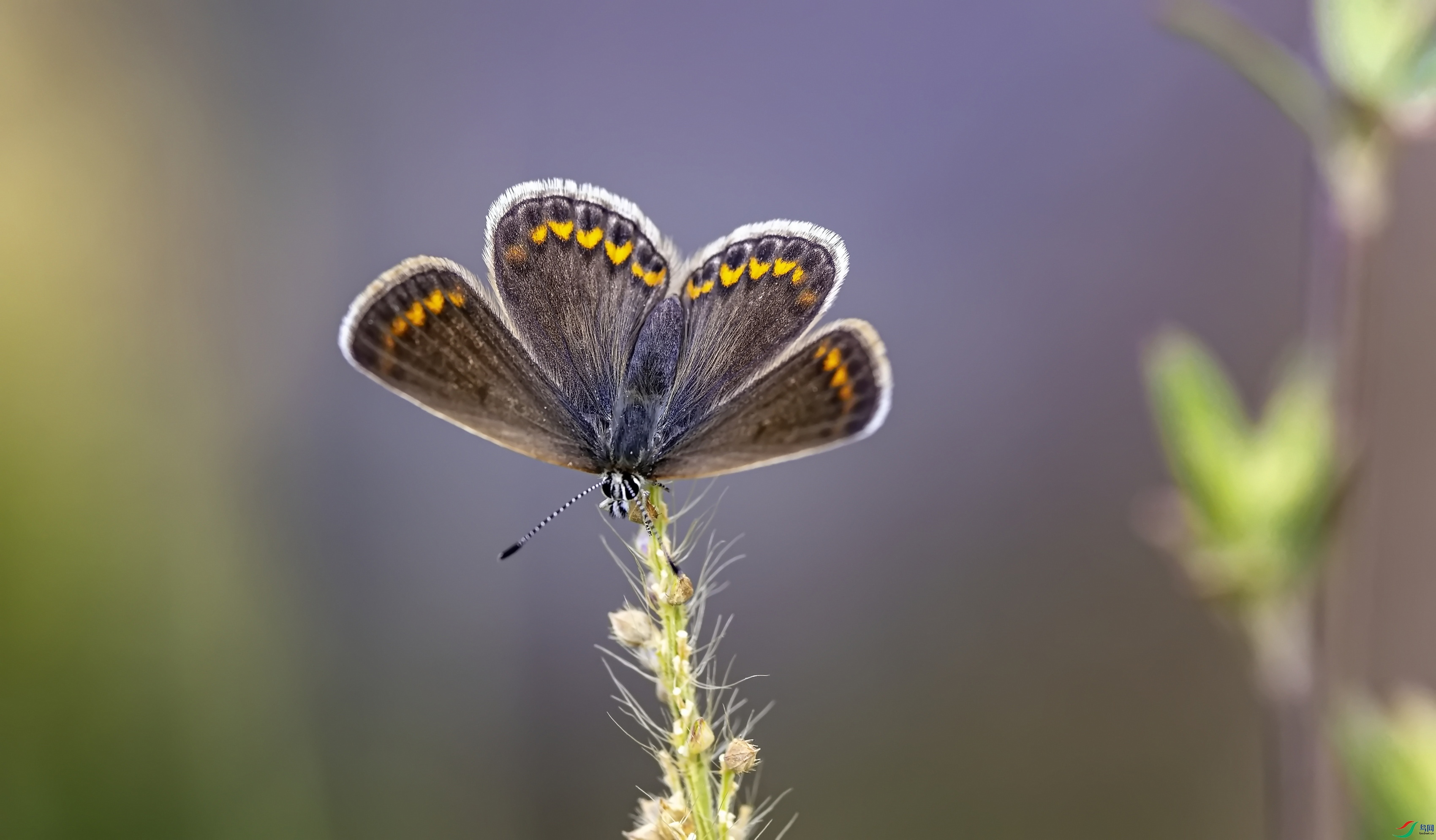 ���ۻҵ� (22)-01.jpg