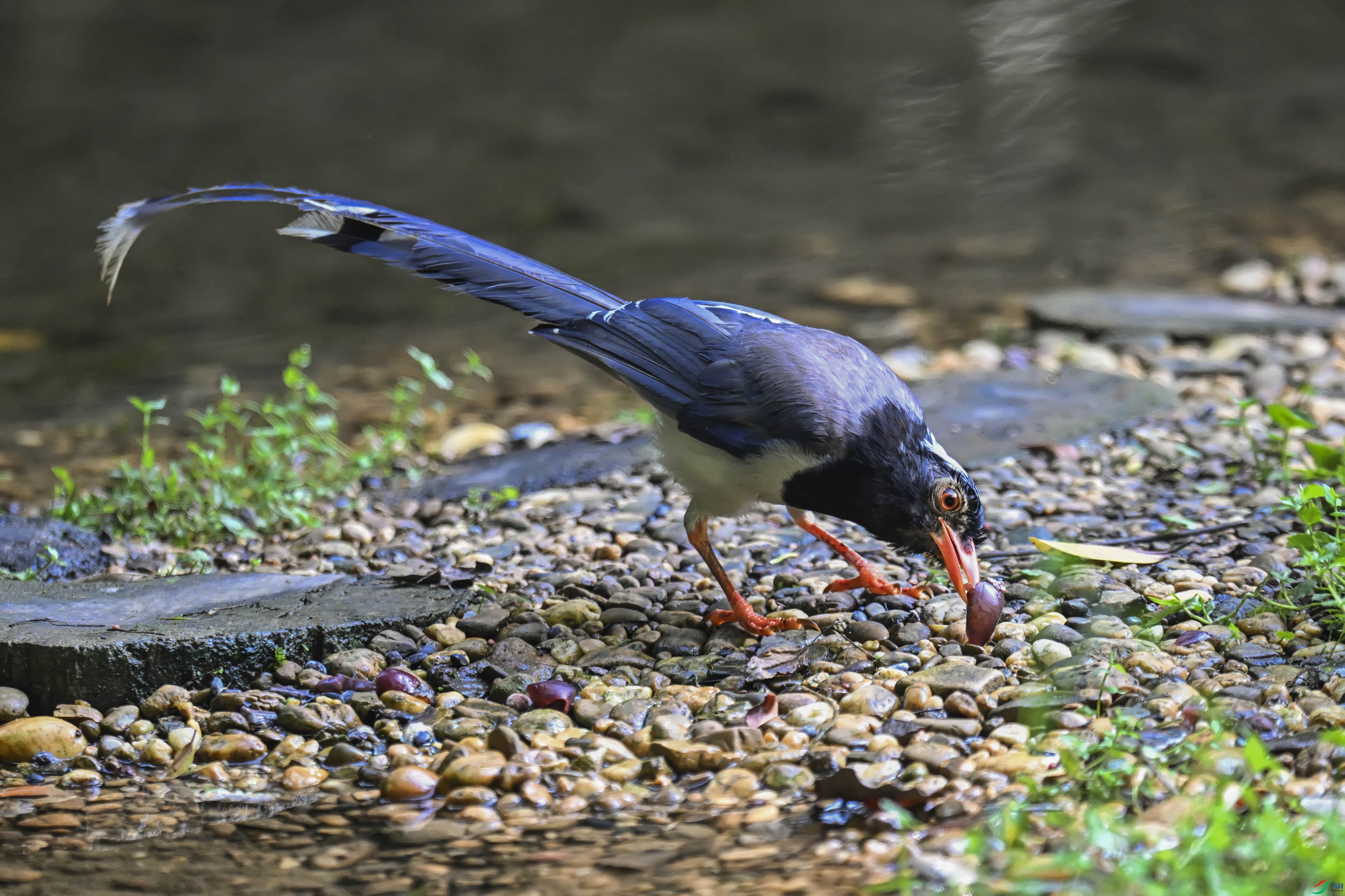 DSC_7374.jpg