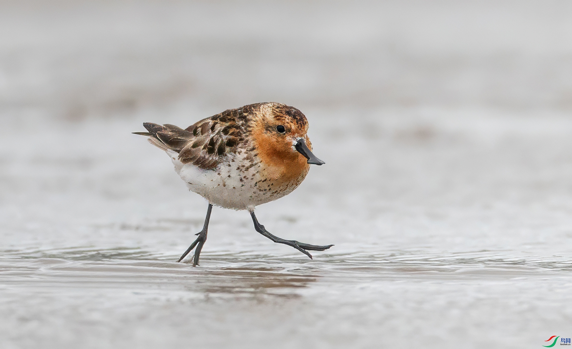 0L0A4570-topaz-denoise-sharpen.jpeg