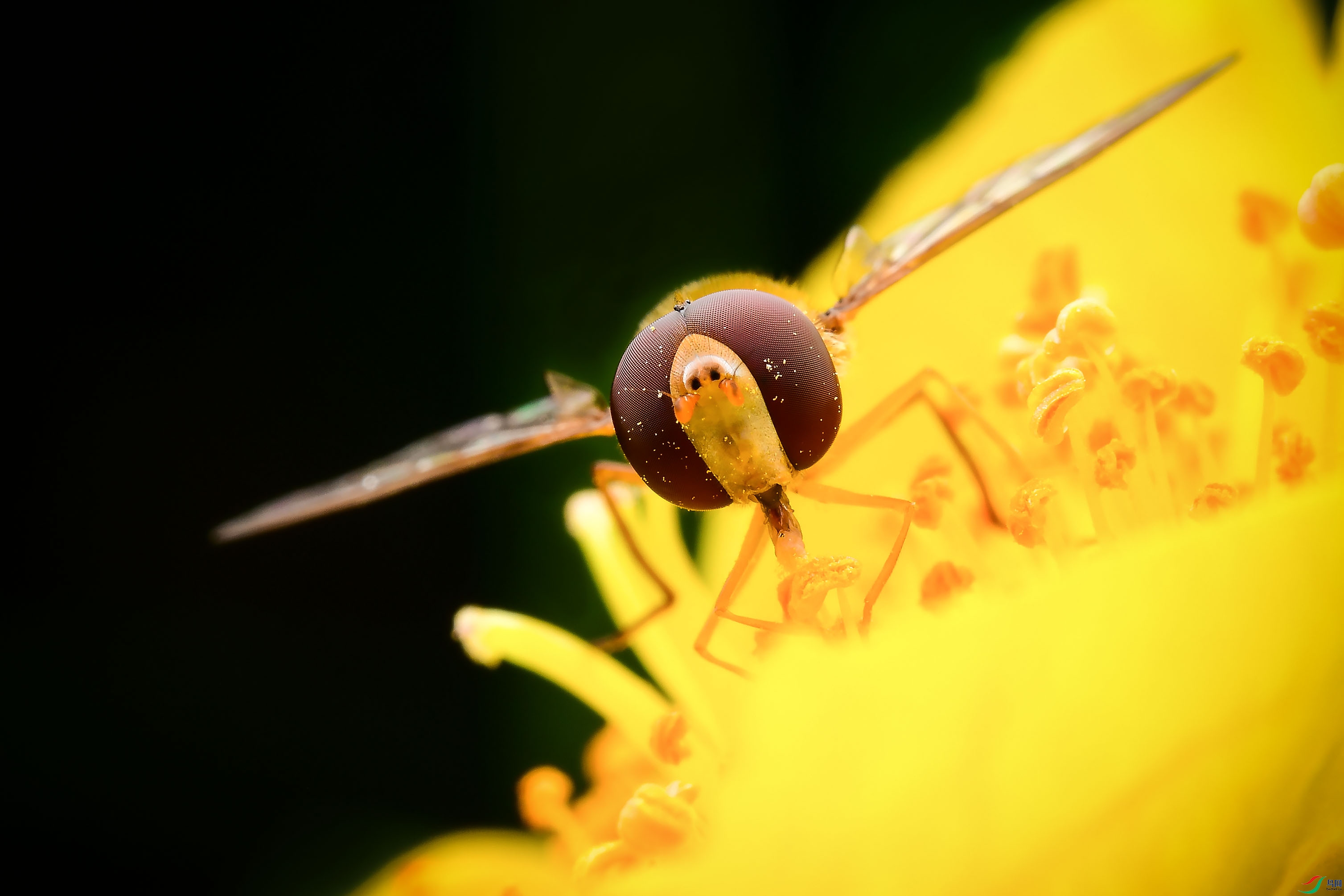 DSC_5509.JPG