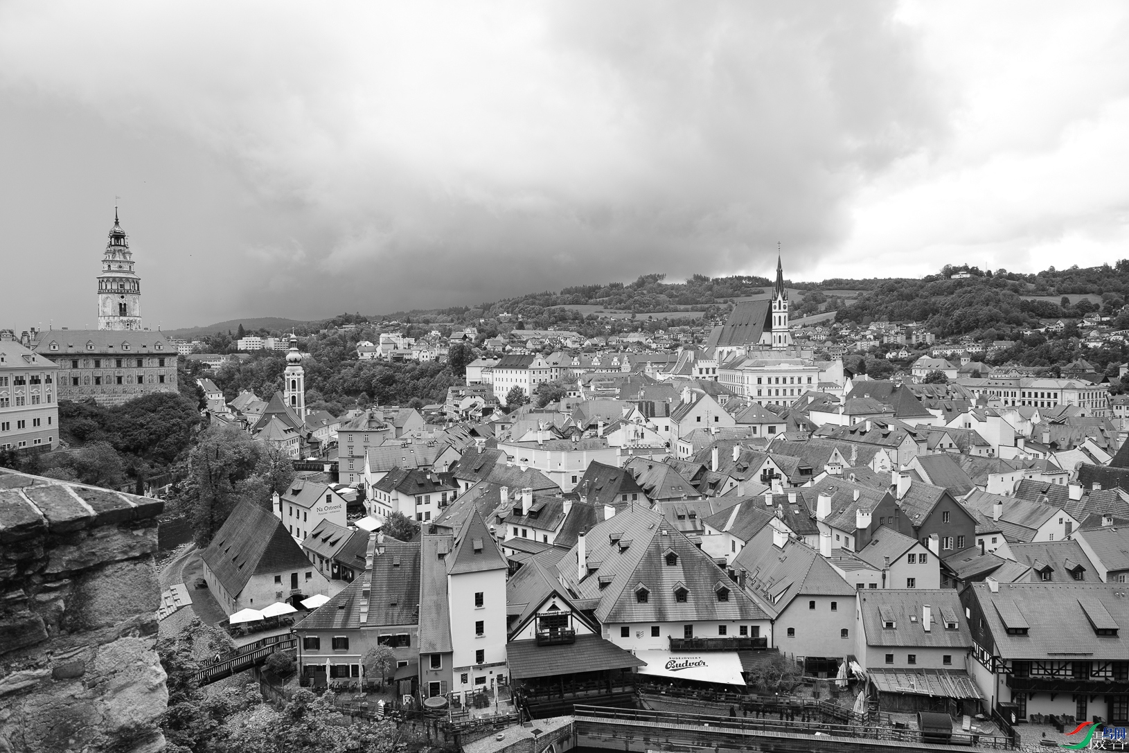 DSC02889-1.jpg