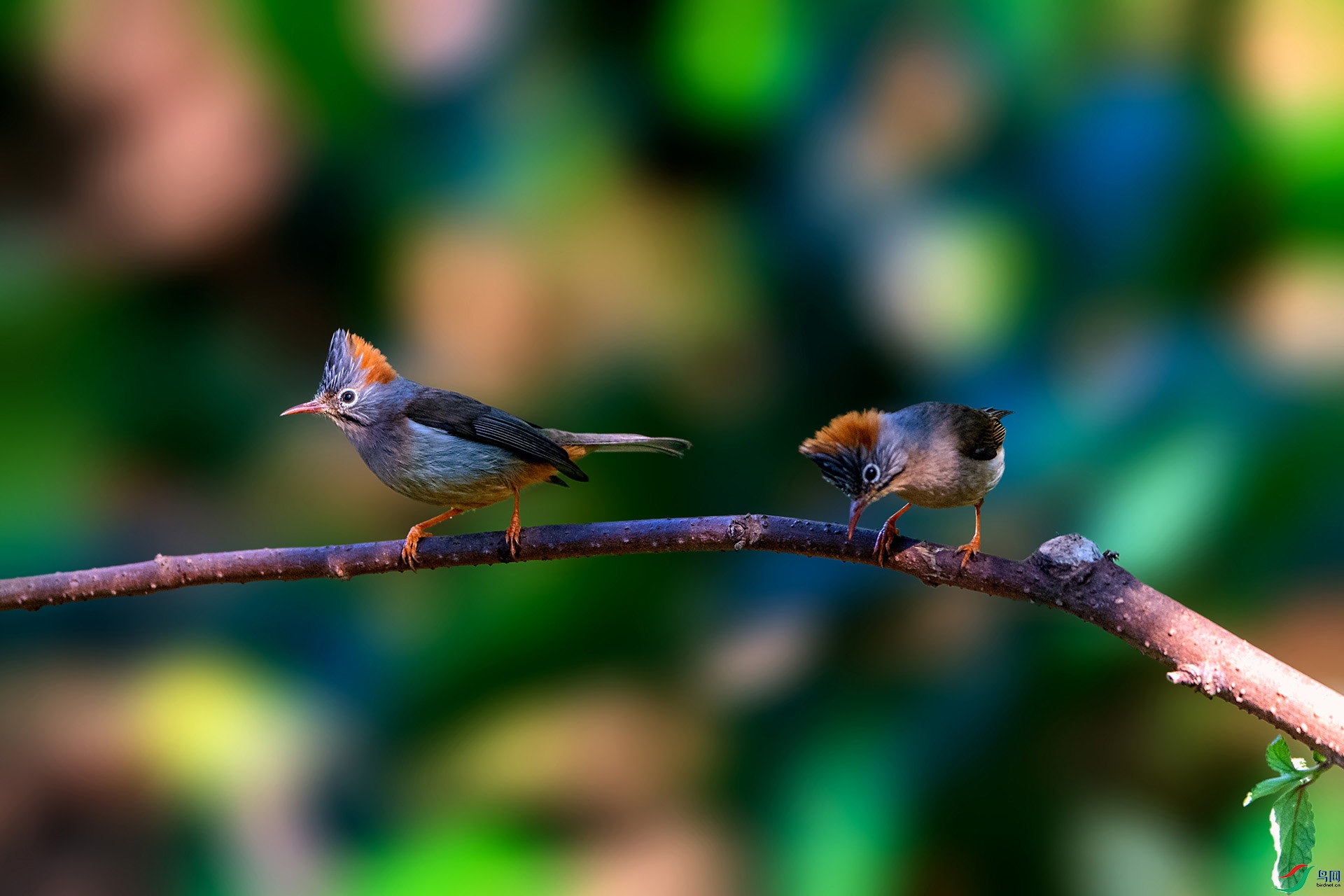 _AUU4138���η���(24.2.17).jpg