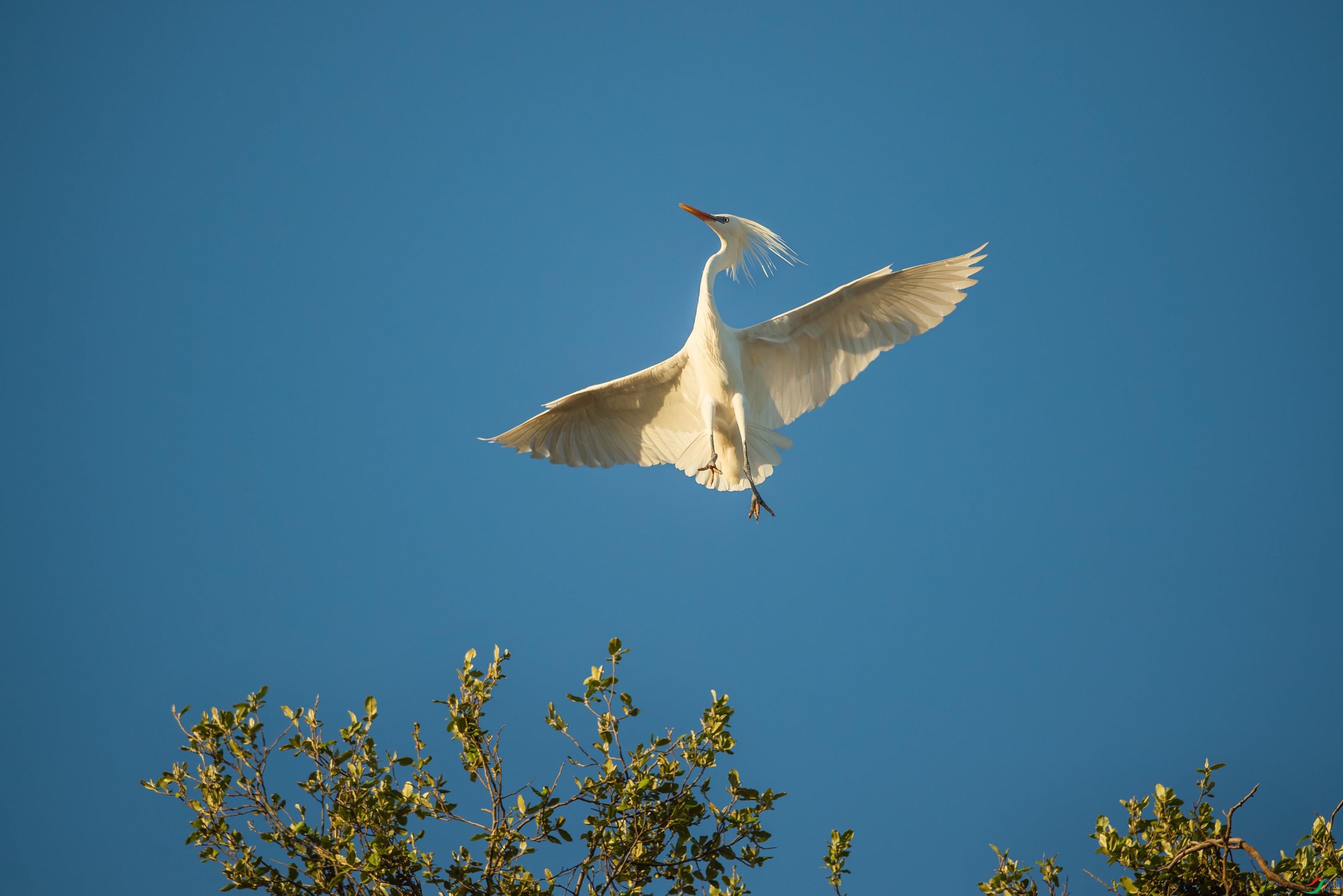 _DSC7628.jpg