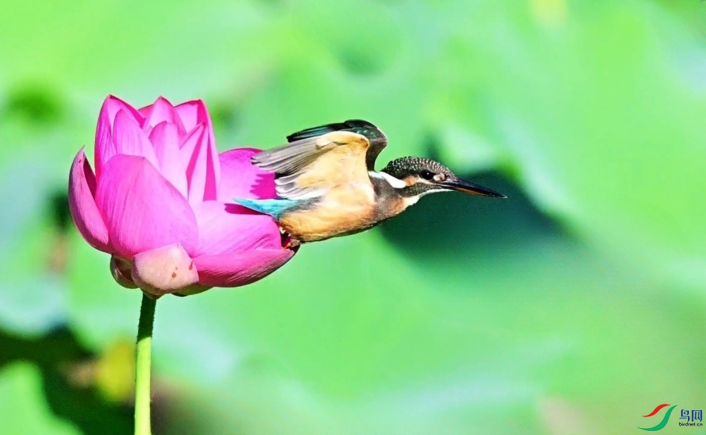 DSC_2257.JPG