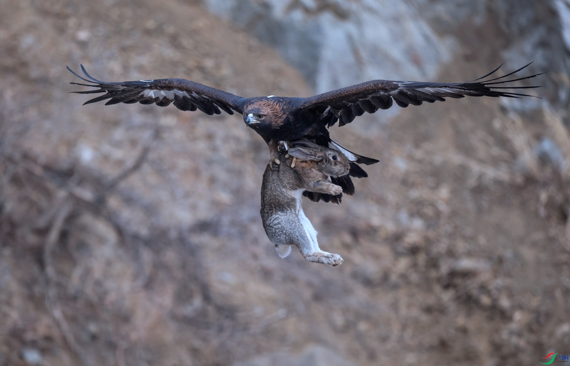 _DSC9110.jpg