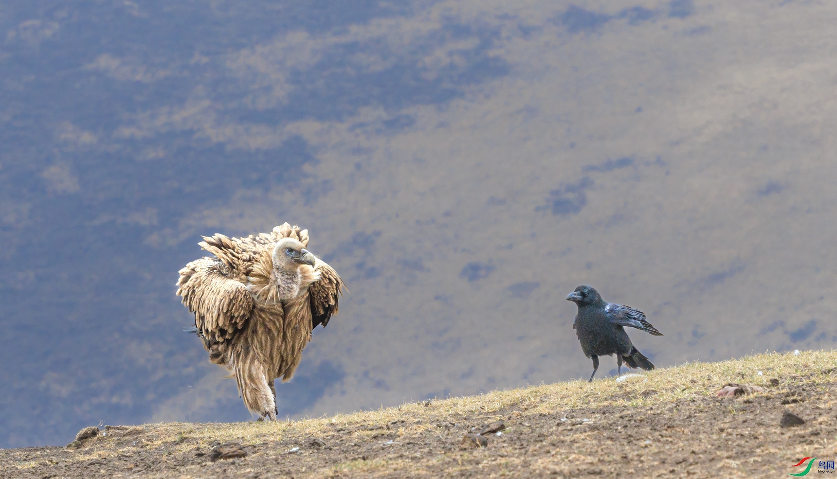 ��ɽأ��1M5A0971.jpg