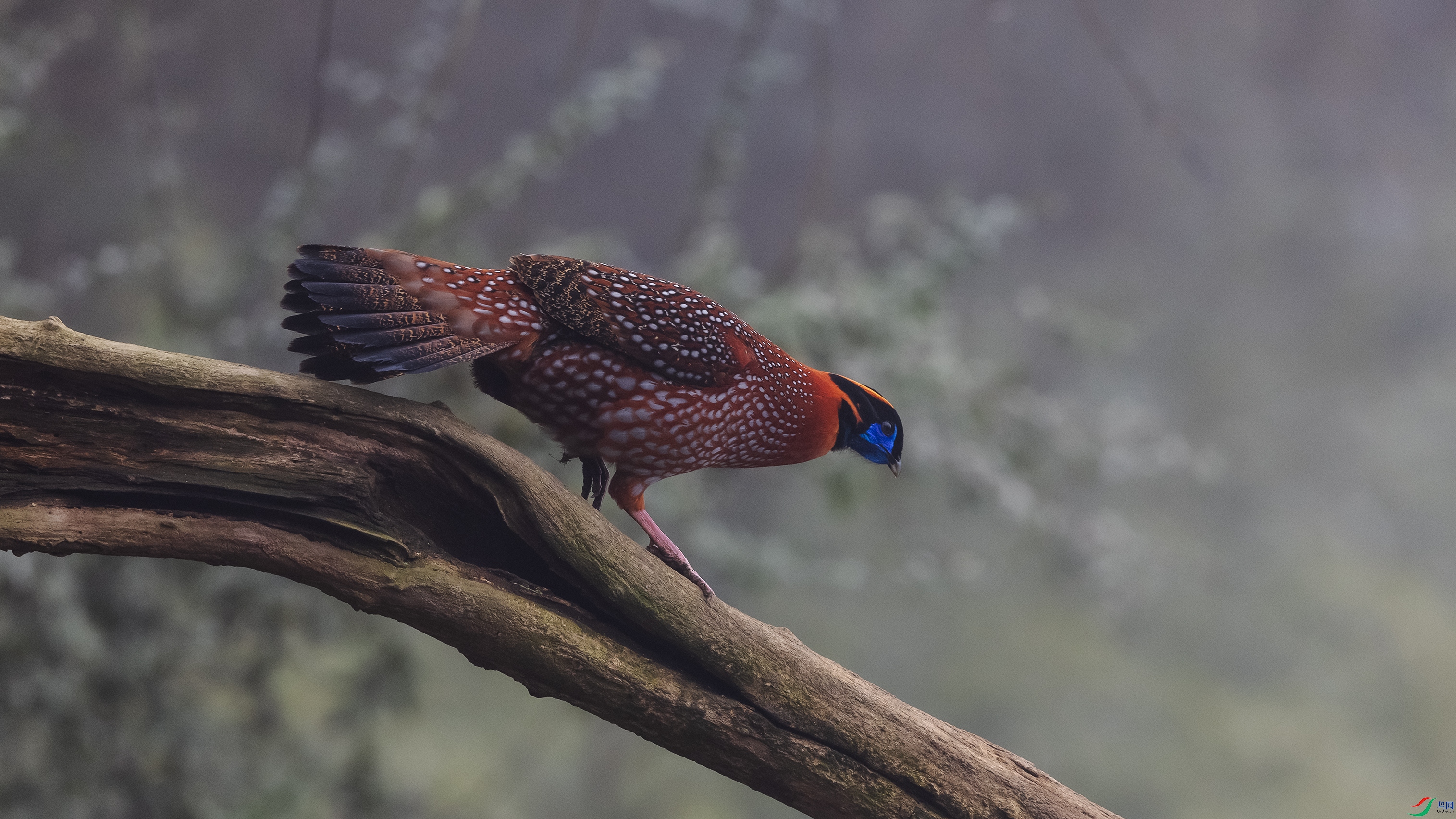 _O7A8021 ����.jpg