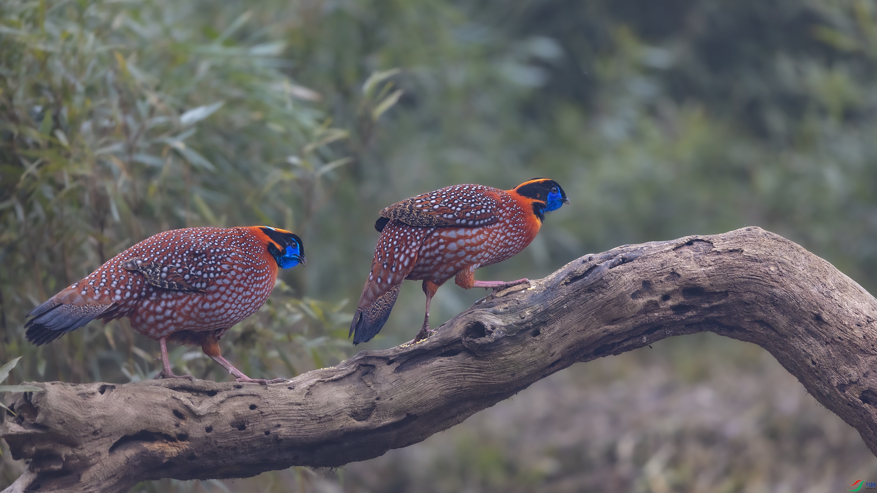 _O7A8116 ����.jpg