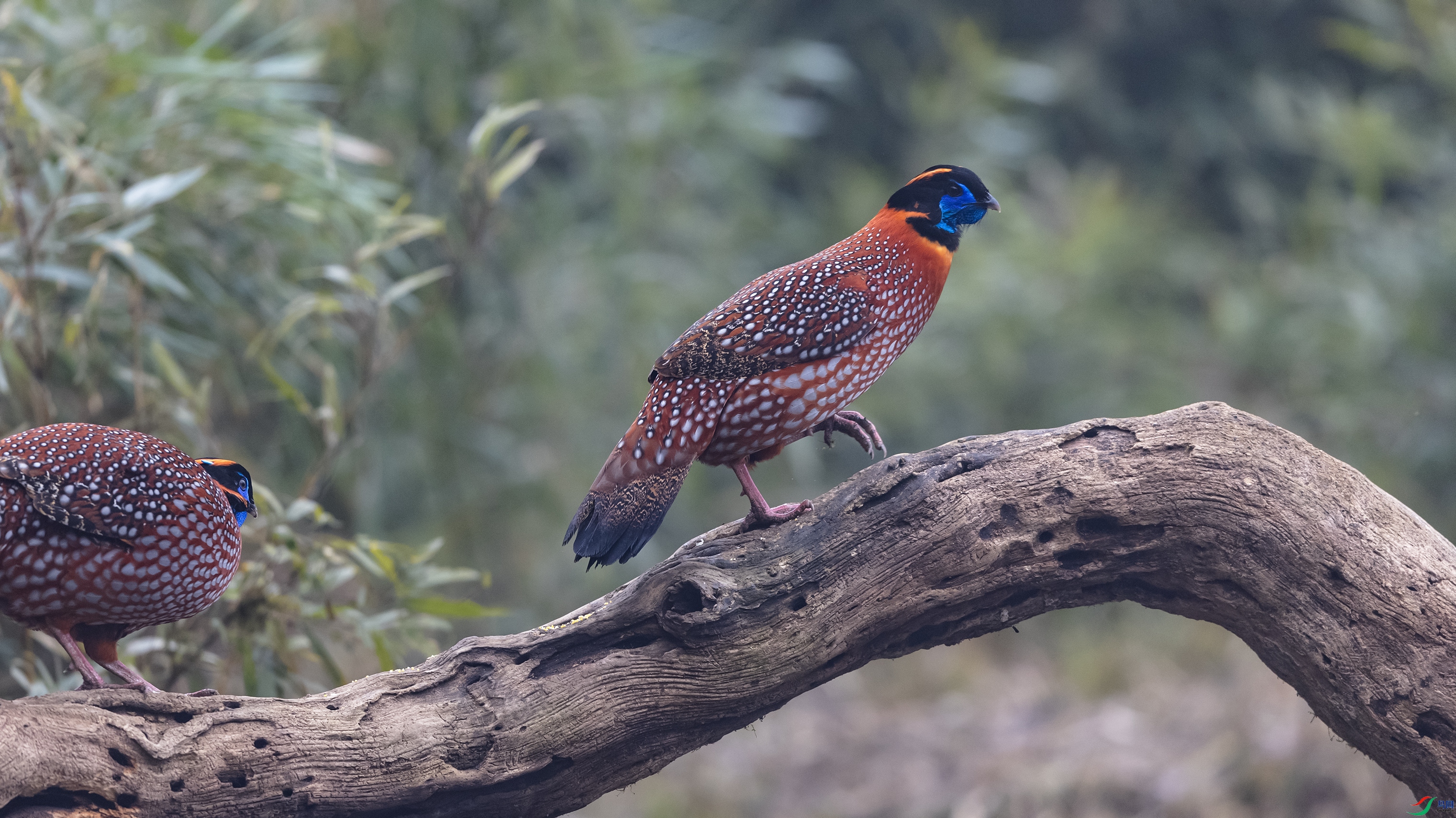 _O7A8130 ����.jpg