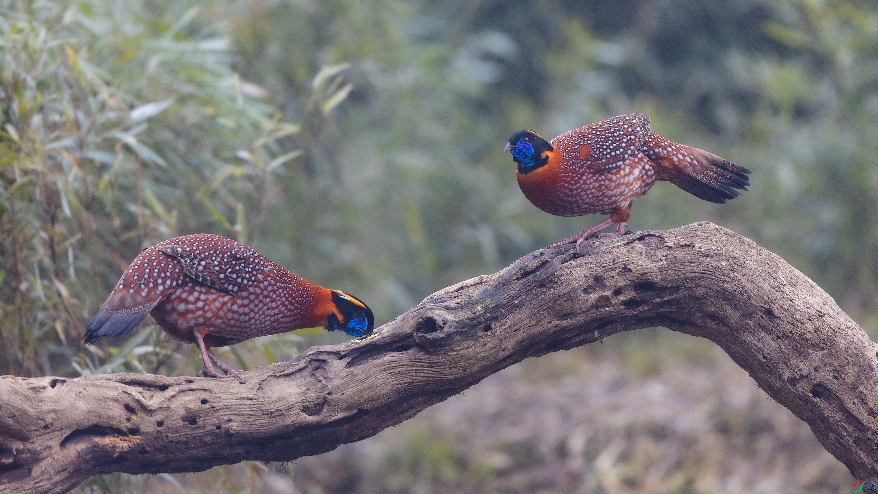 _O7A8140 ����.jpg