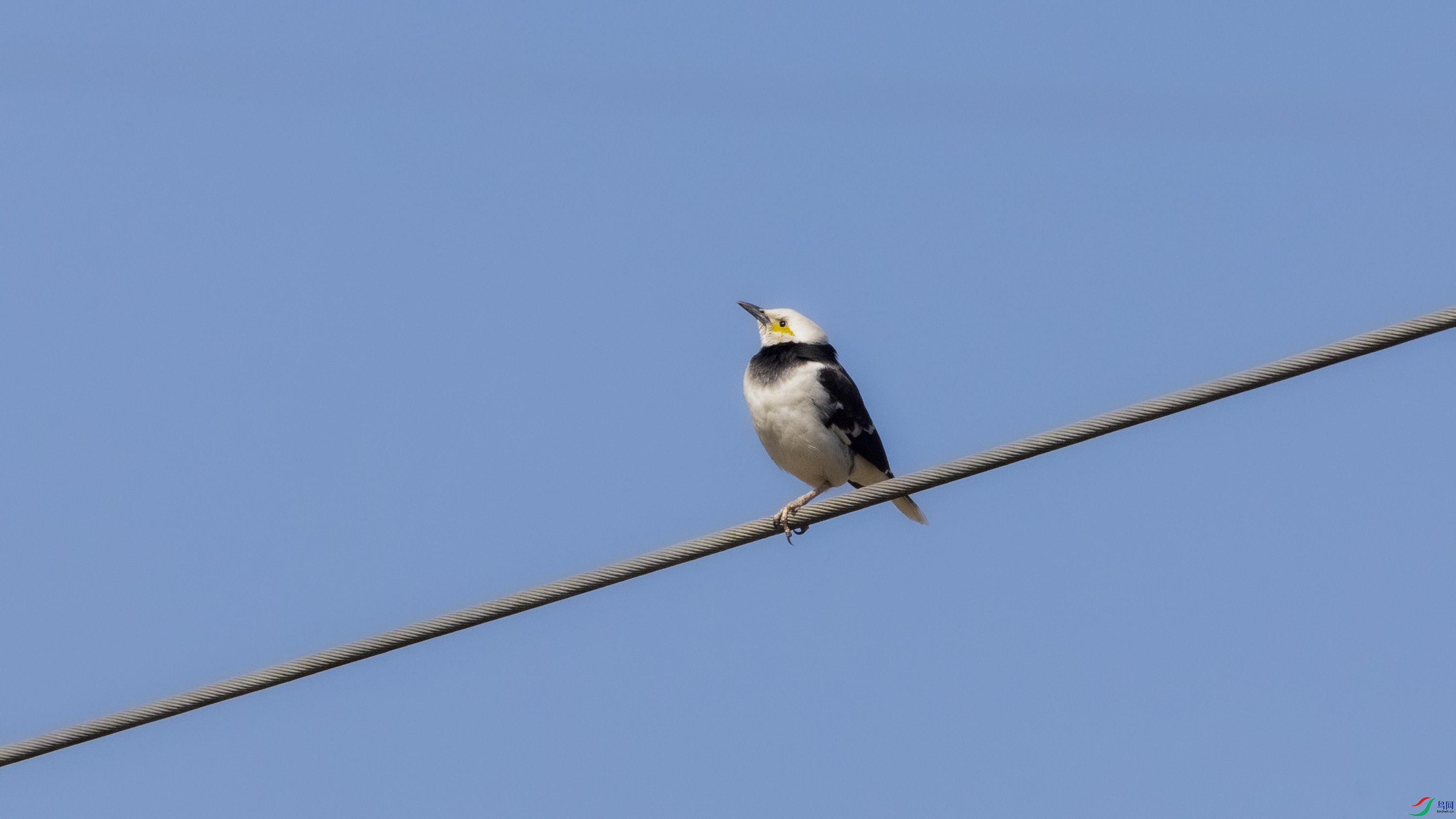 _O7A9131 ����.jpg