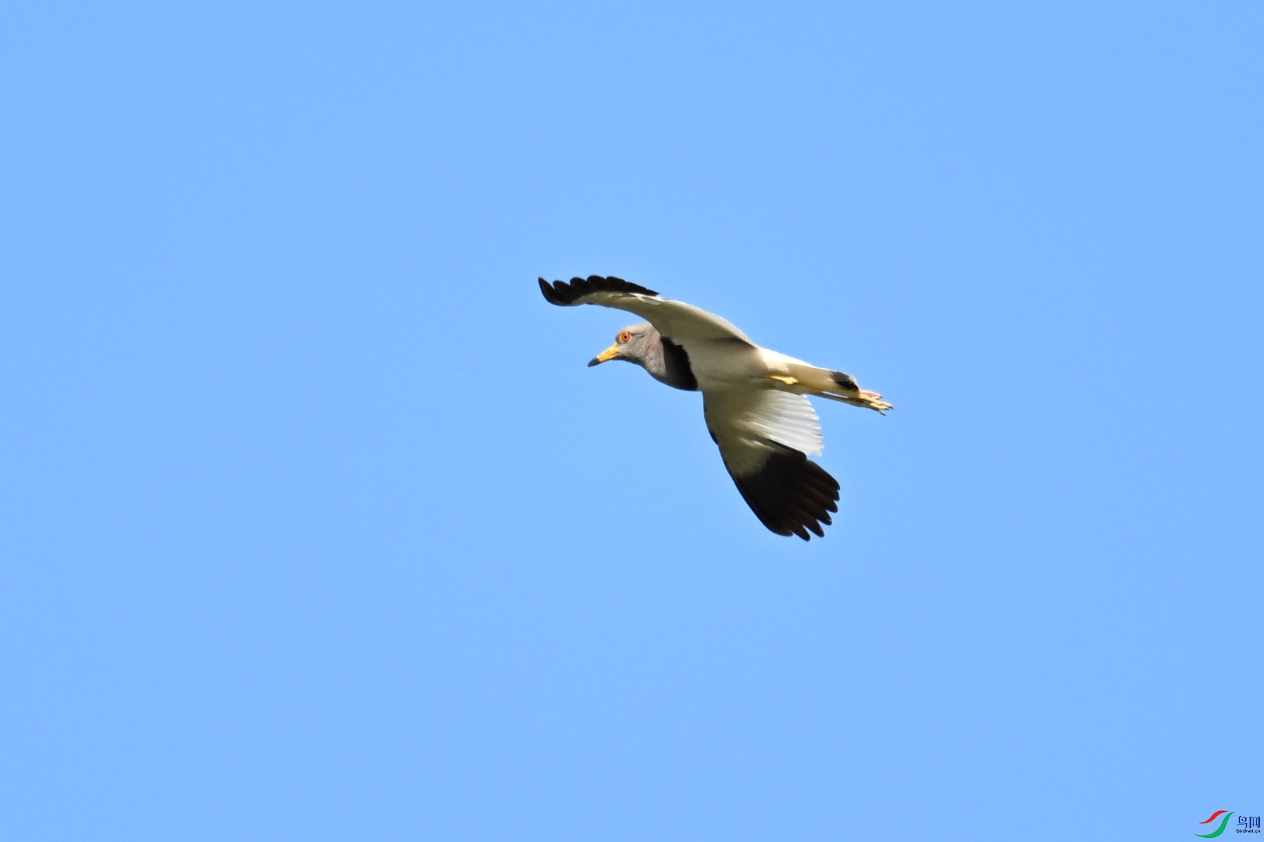 DSC_5337.JPG