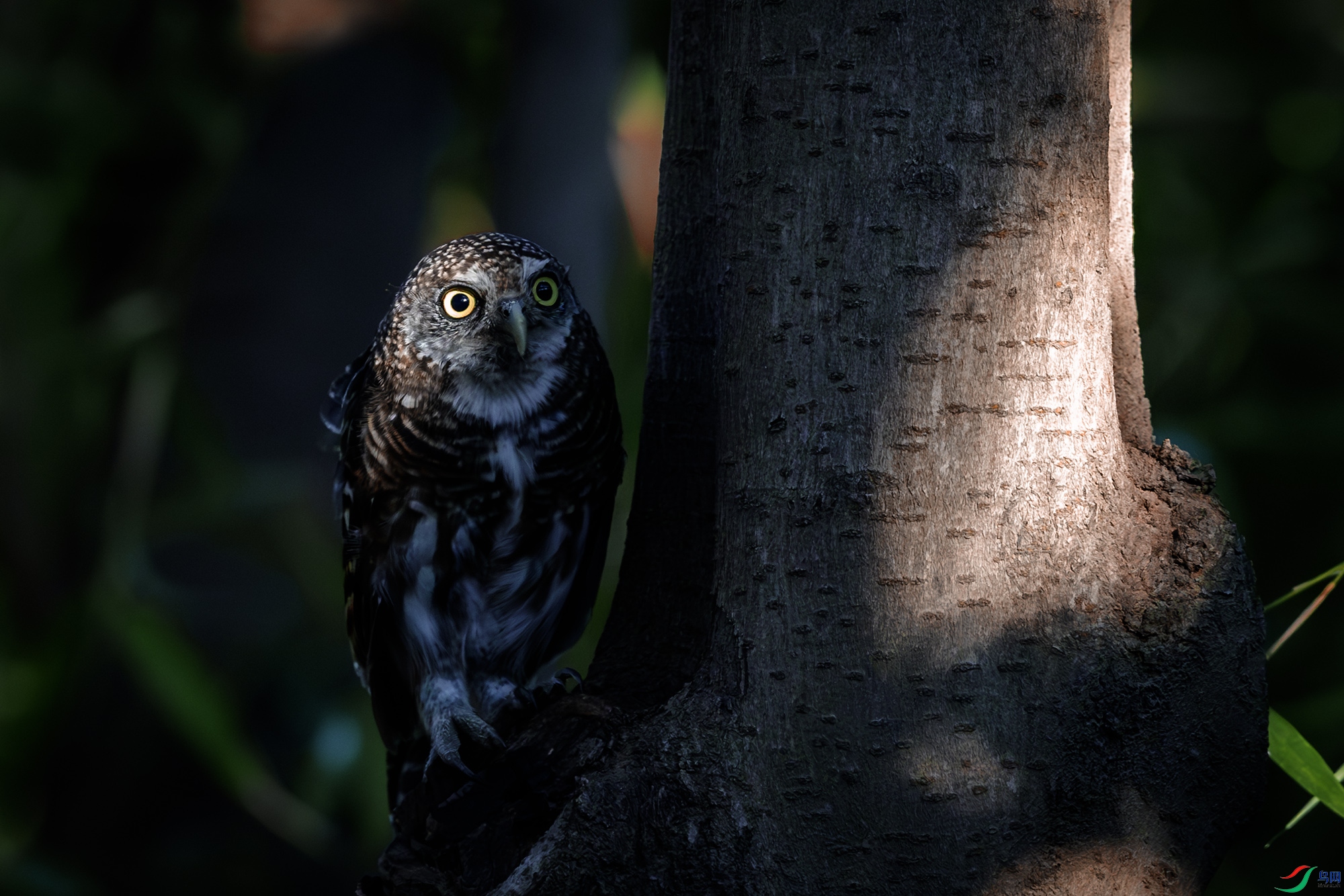 _31A0427-����ǿ-NR ����.jpg