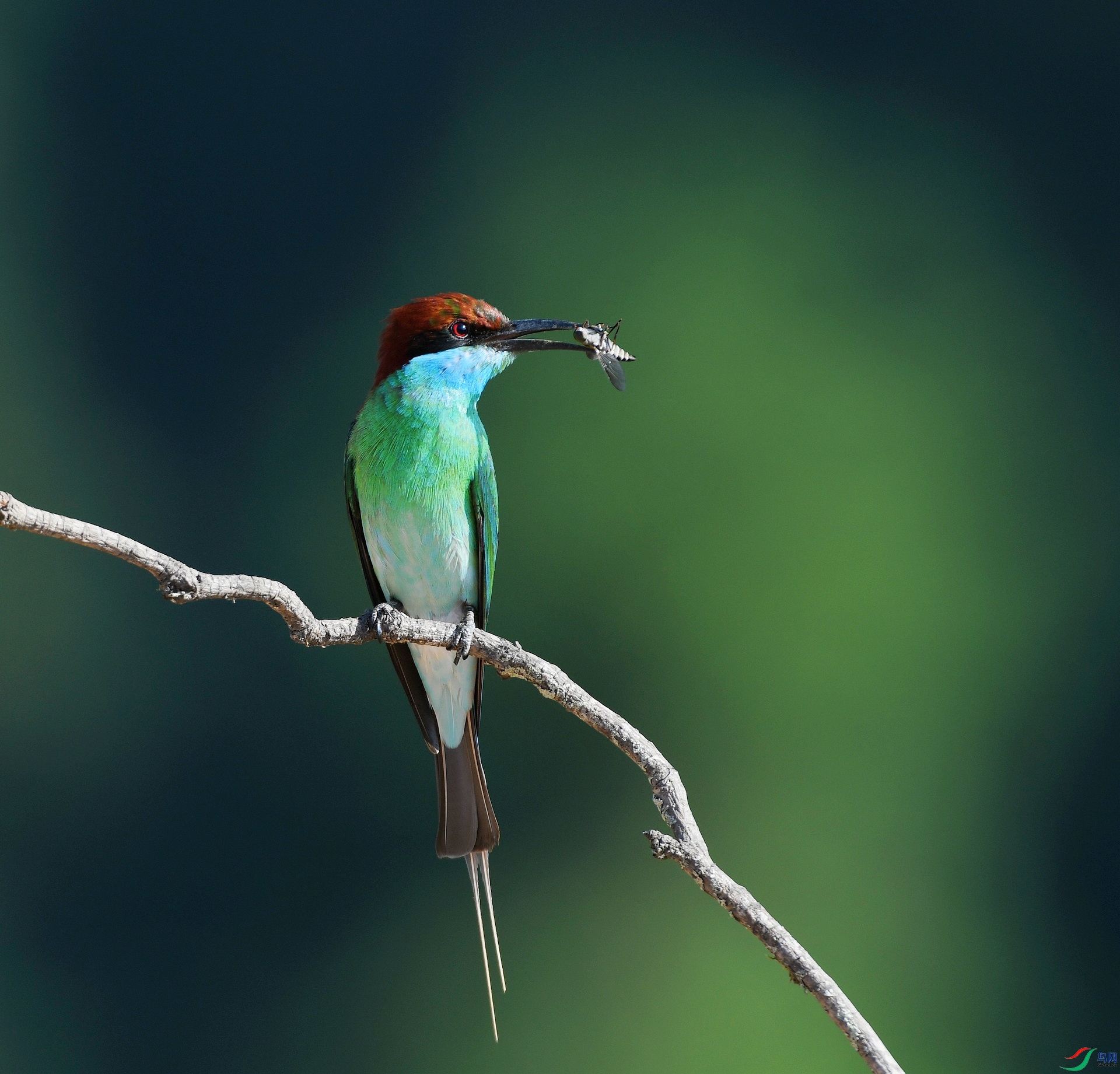 DSC_4812.jpg