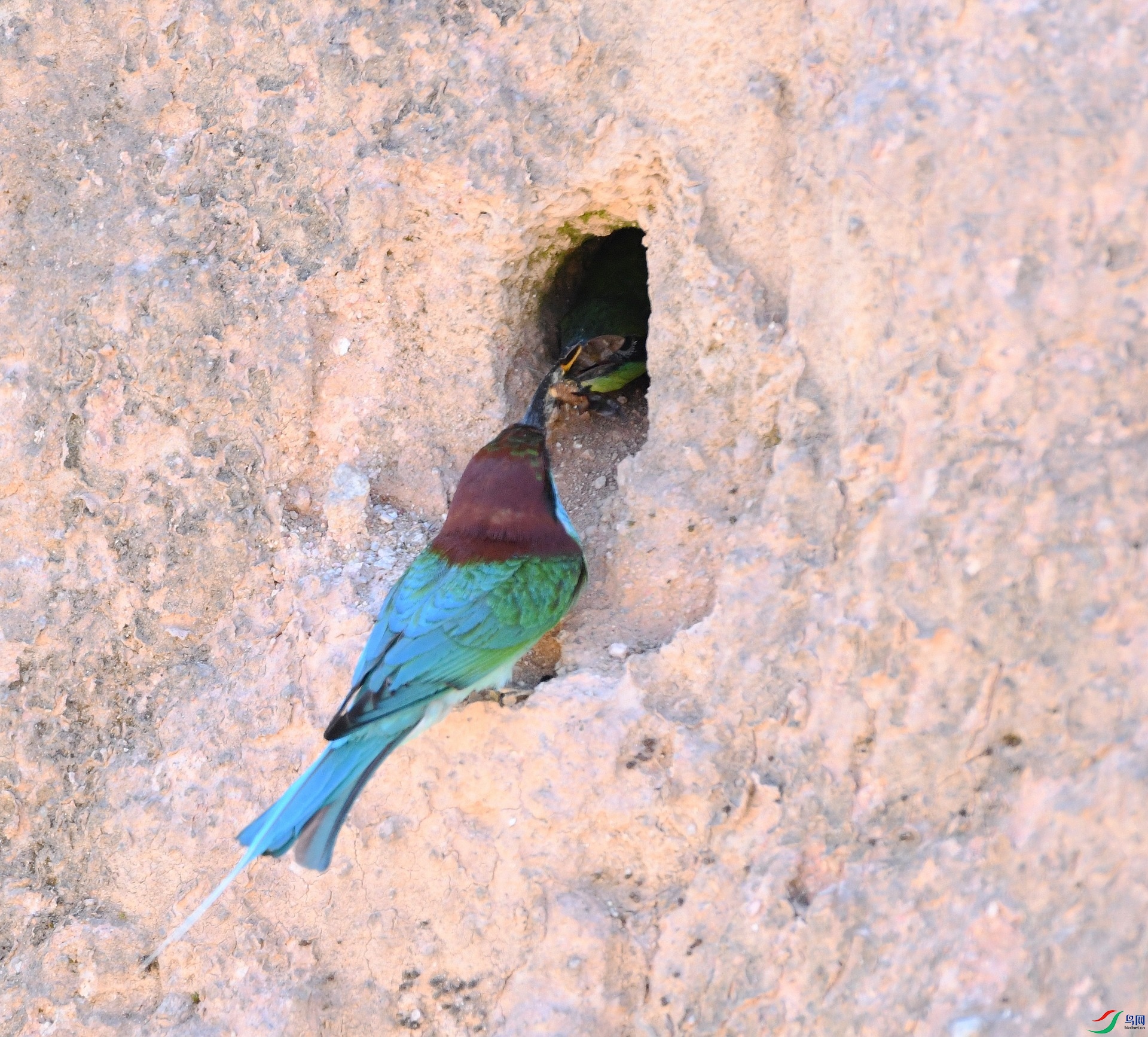 DSC_5320.jpg