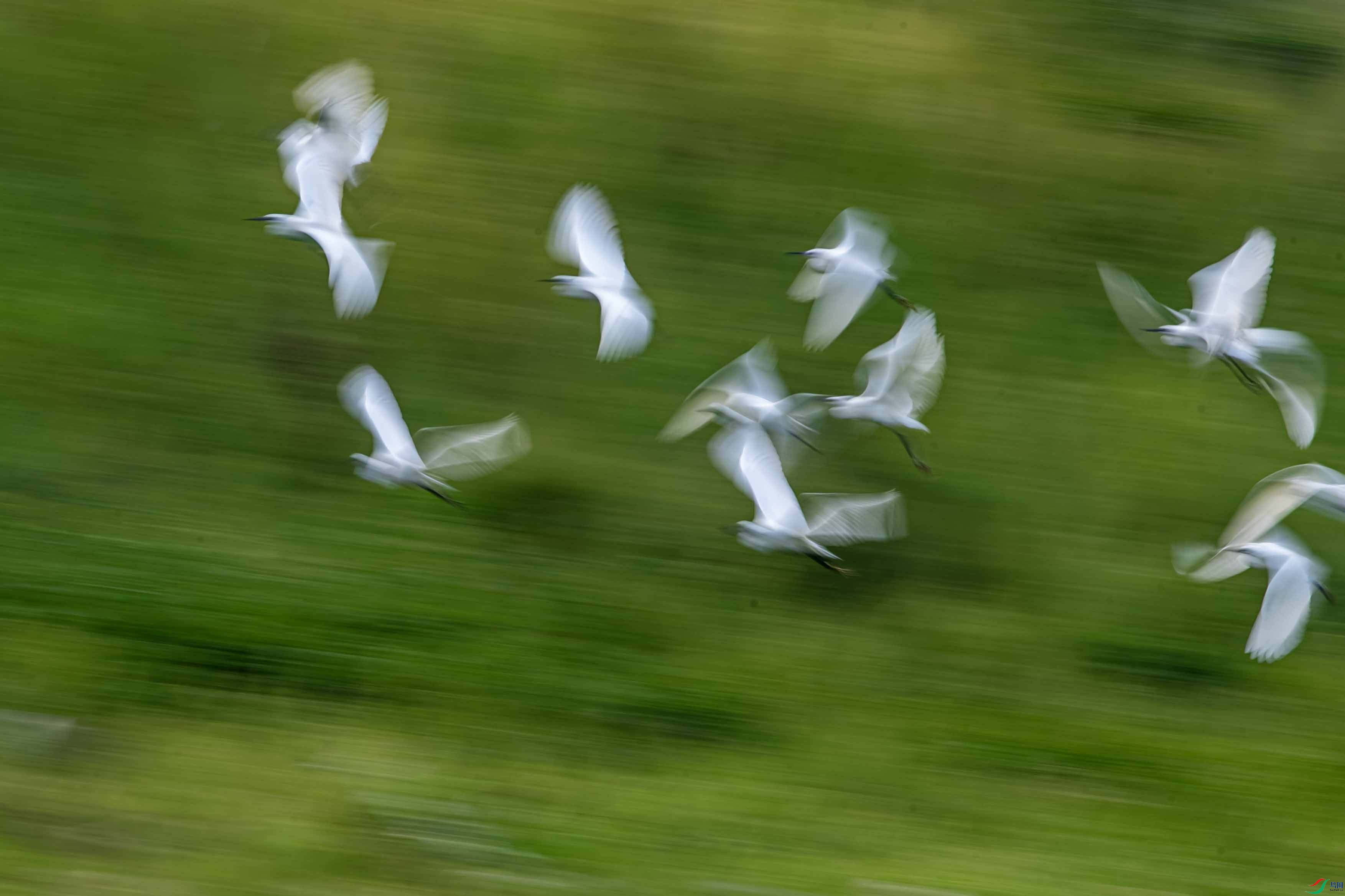 _DSC5436 ����.jpg