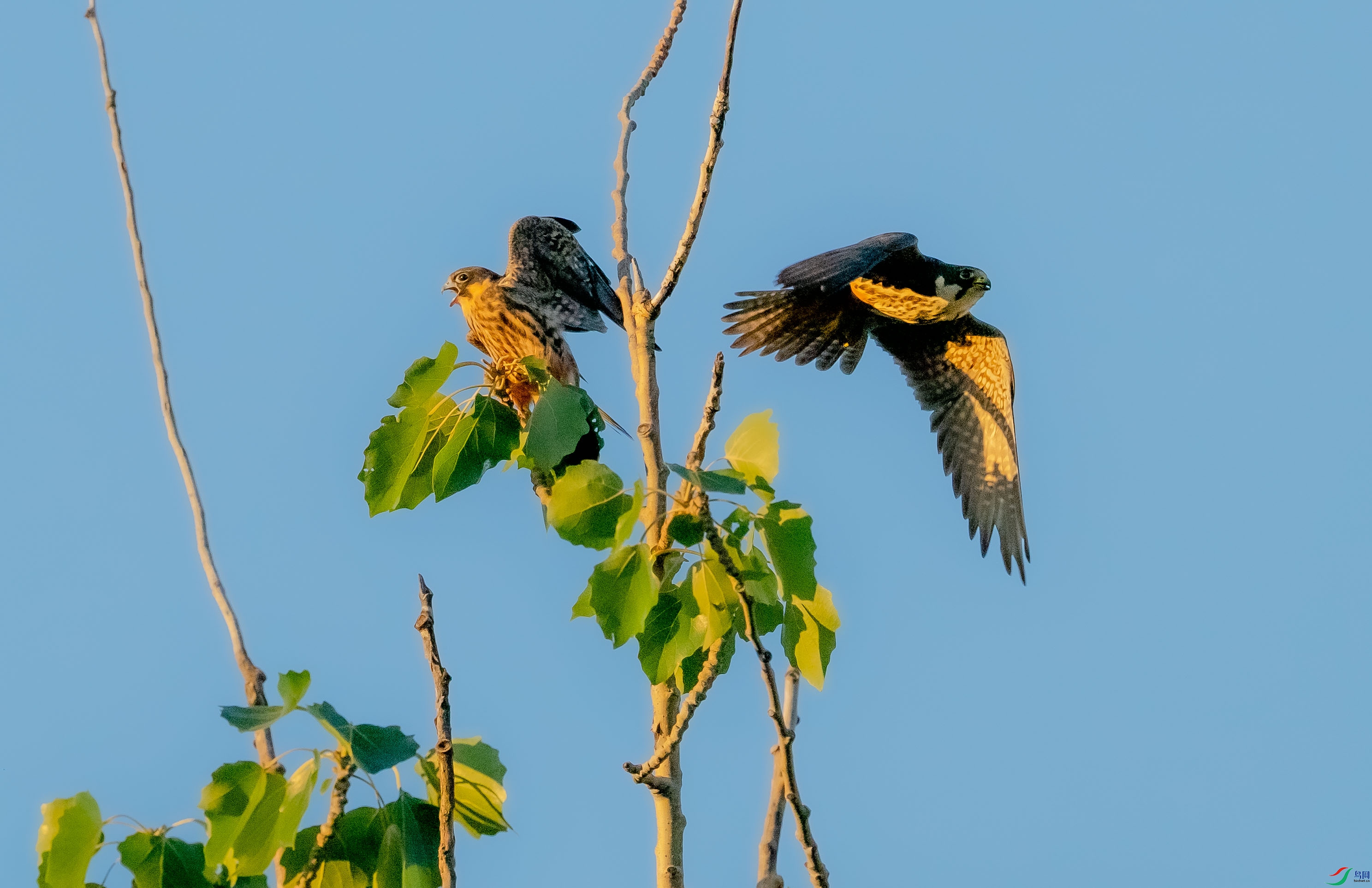 DSC_0479.jpg