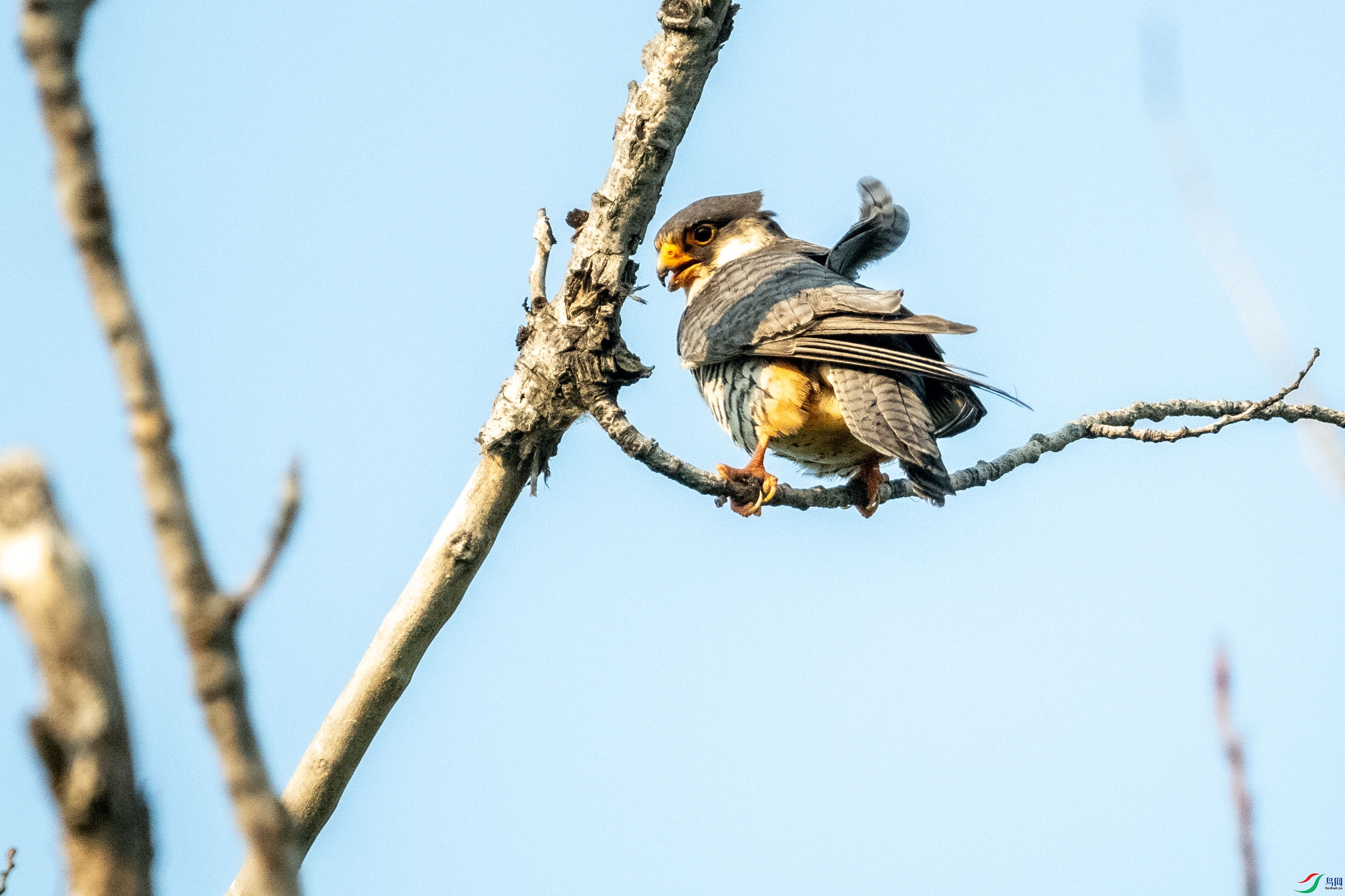 DSC_0655.jpg