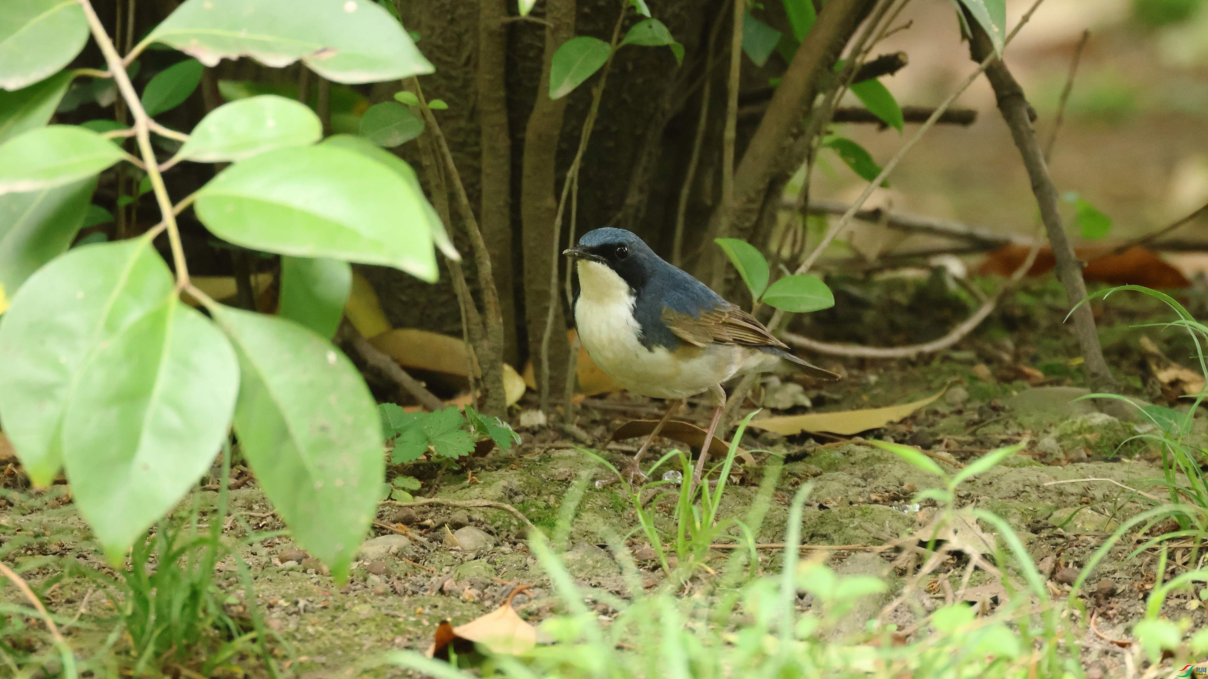 IMG_7945.JPG