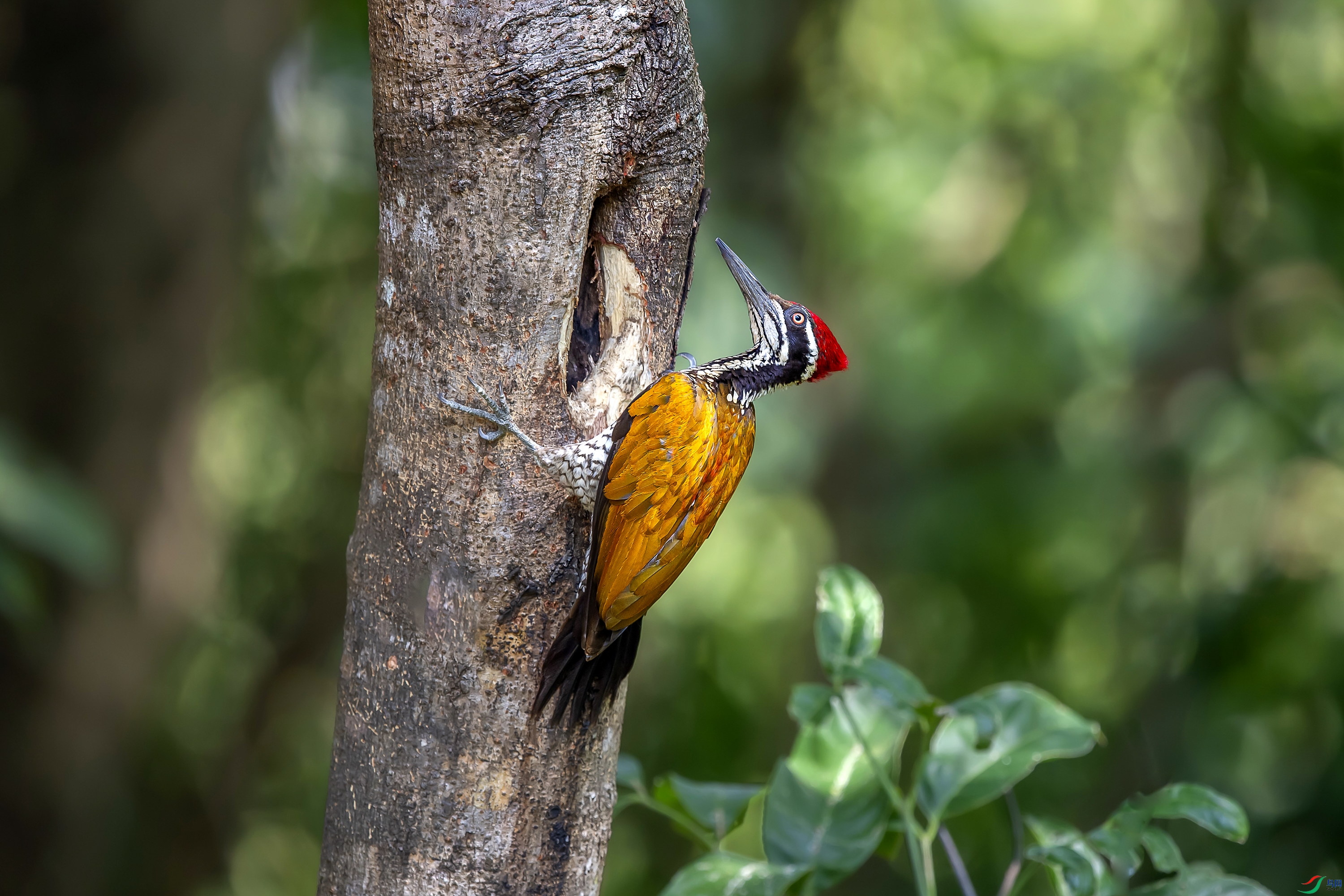 DSC_5047f.jpg