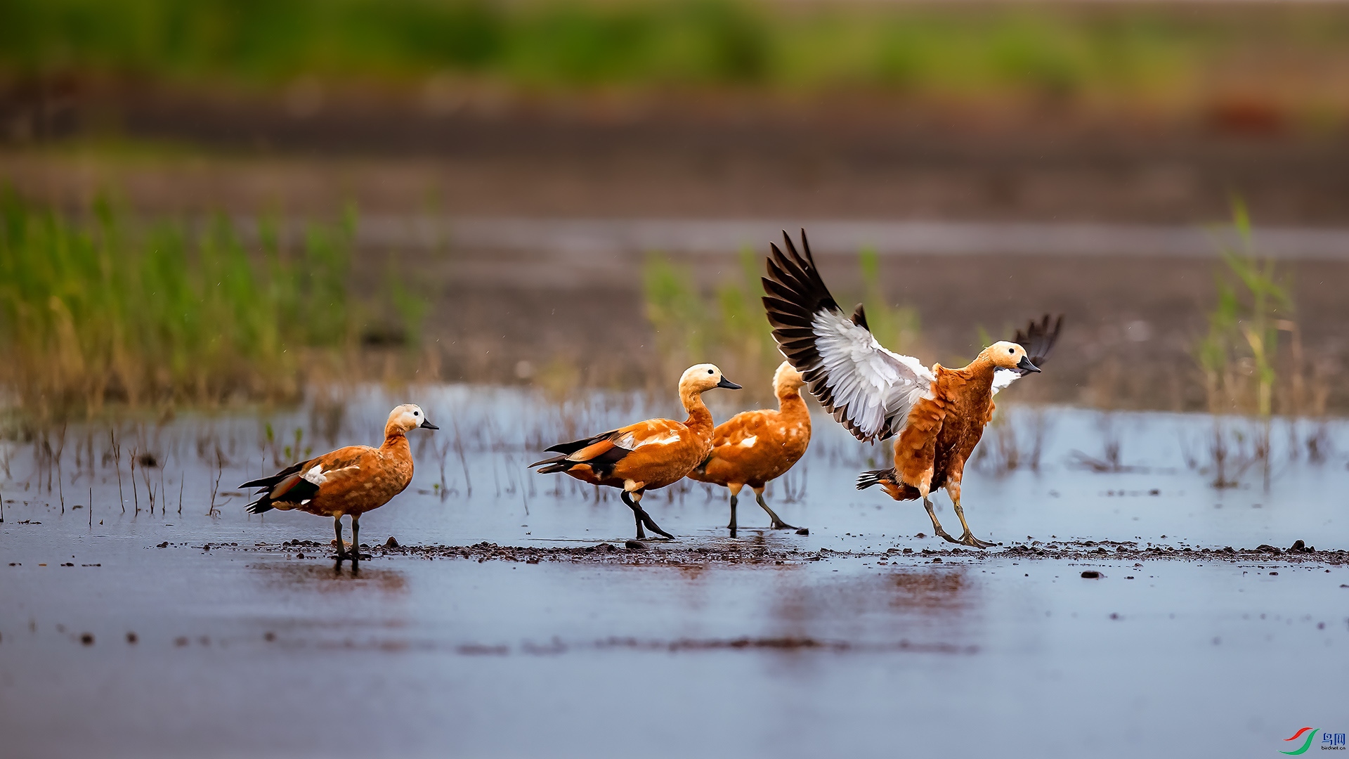 _DSC8828 ����Ȼ�Եá�.jpg