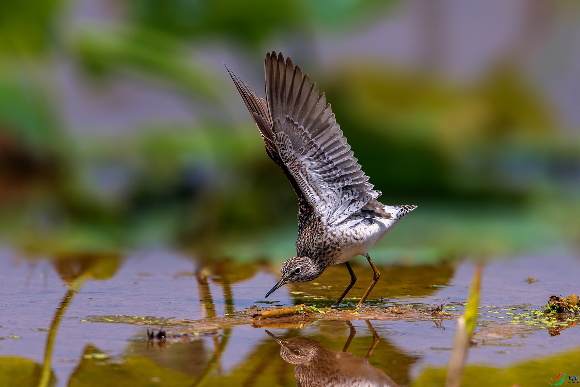 _AUU3974����(24.5.12).jpg