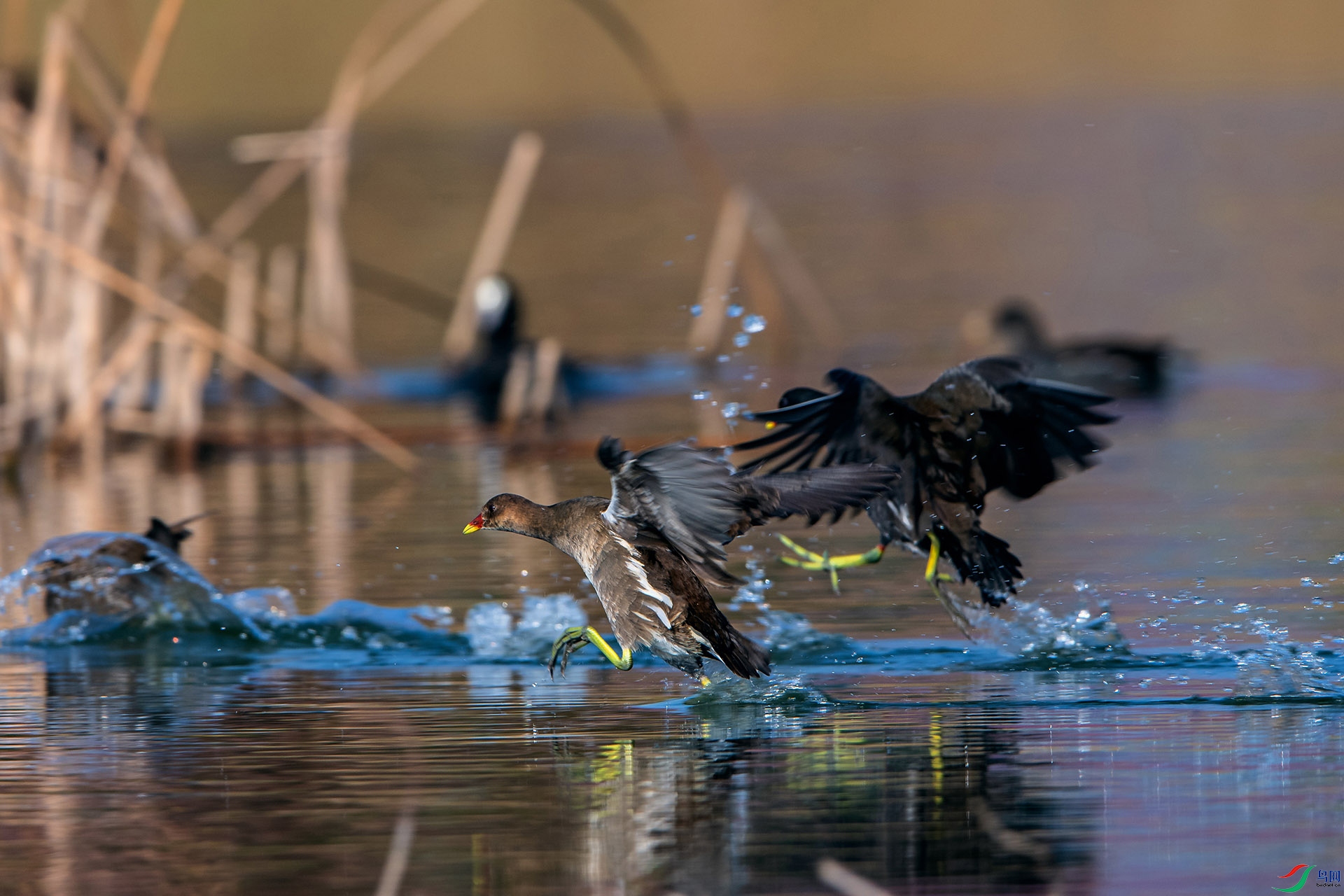 _AUU3910��ˮ��(25.1.7).jpg
