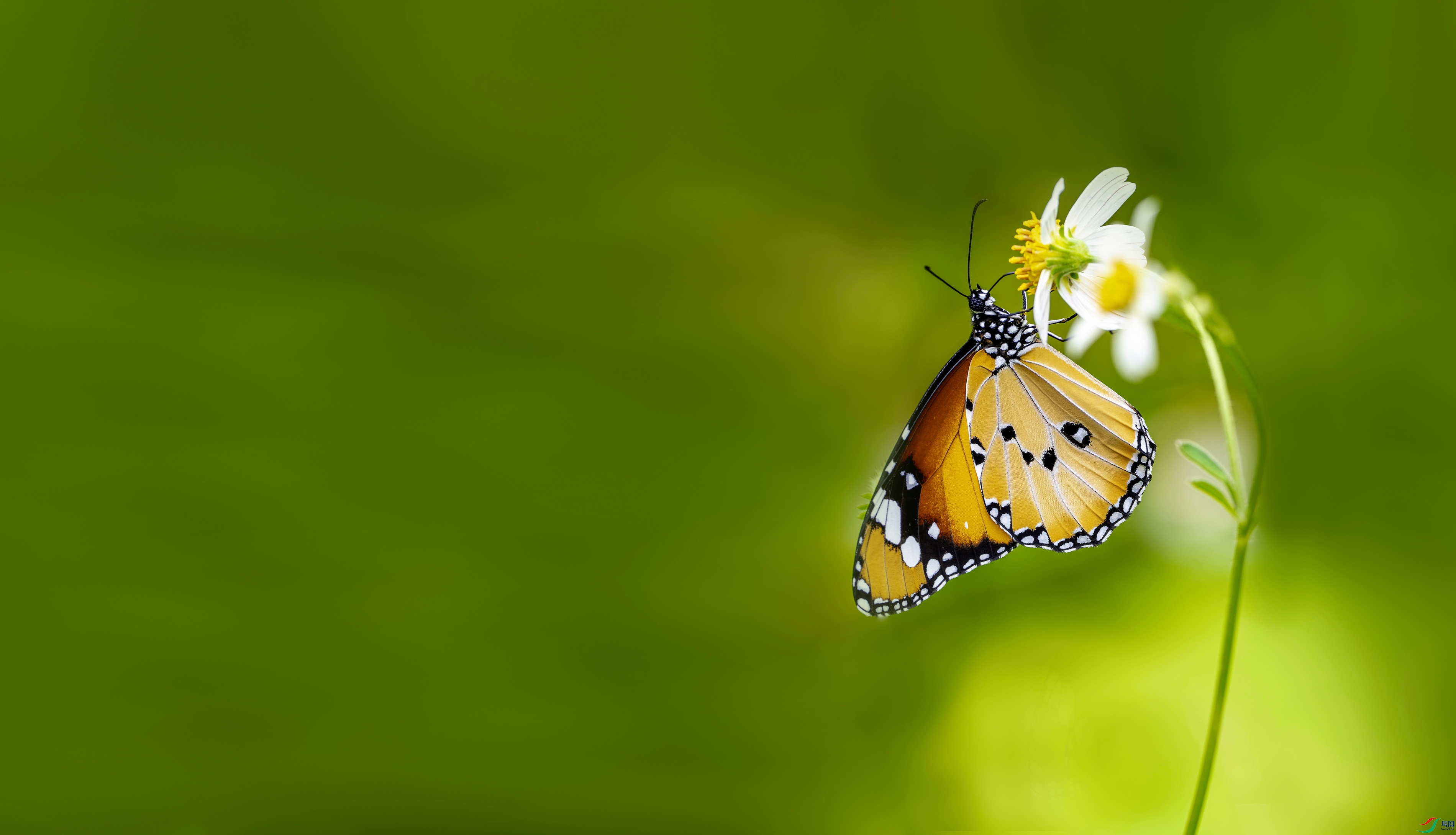 ��ߵ� (20)-01.jpg