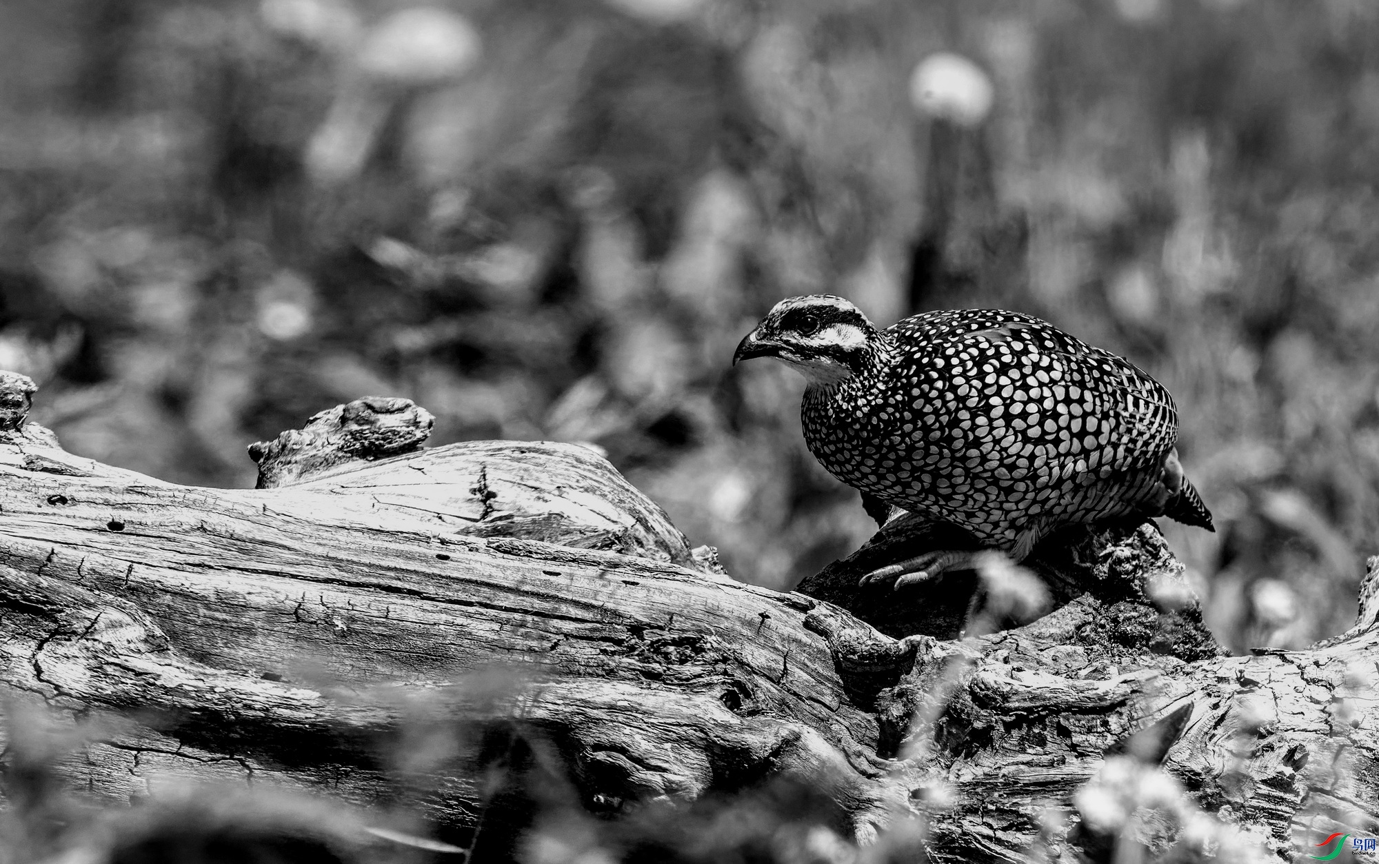 �л���� (3)-1.jpg