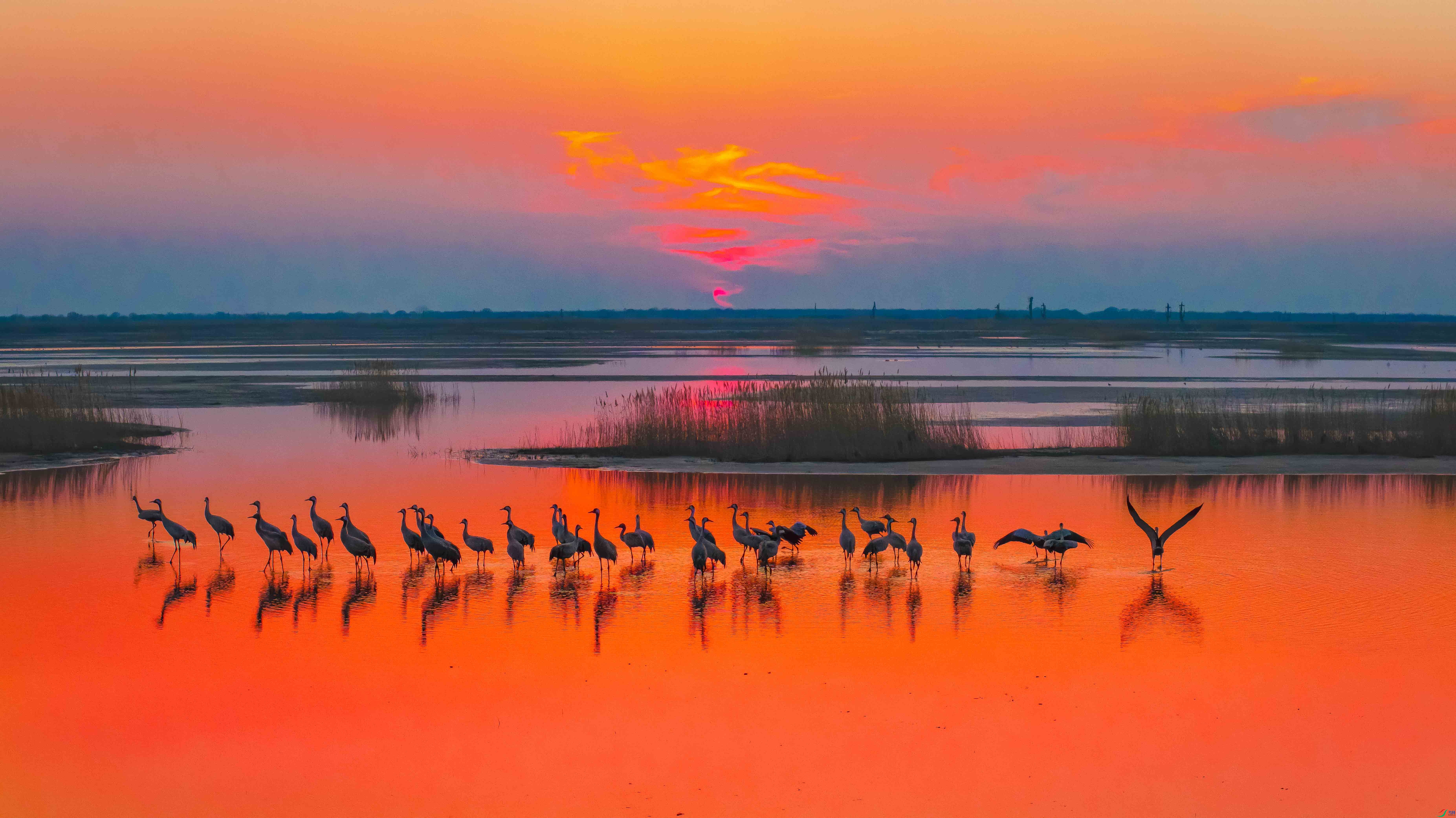 DJI0184.jpg