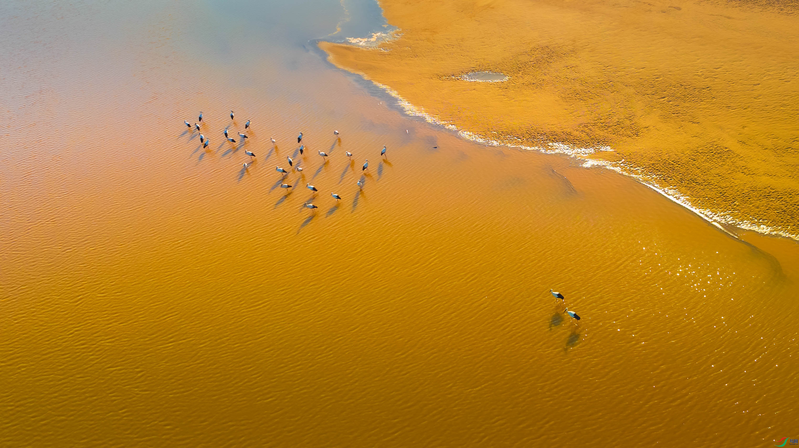 DJI_0023.jpg