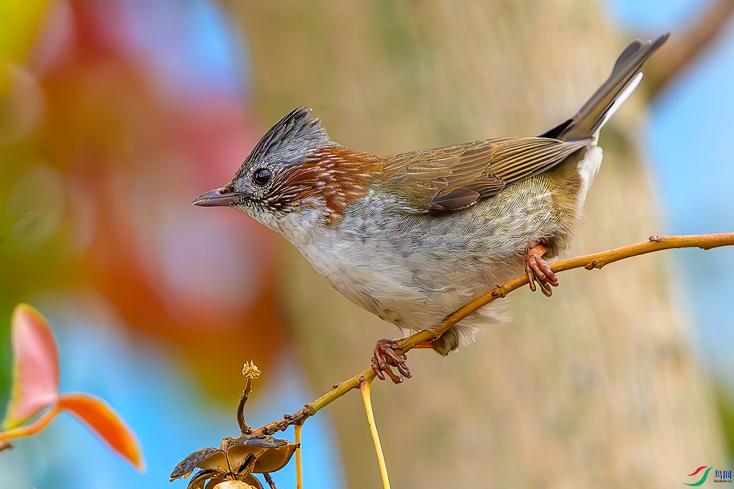 DSC_6570b.jpg