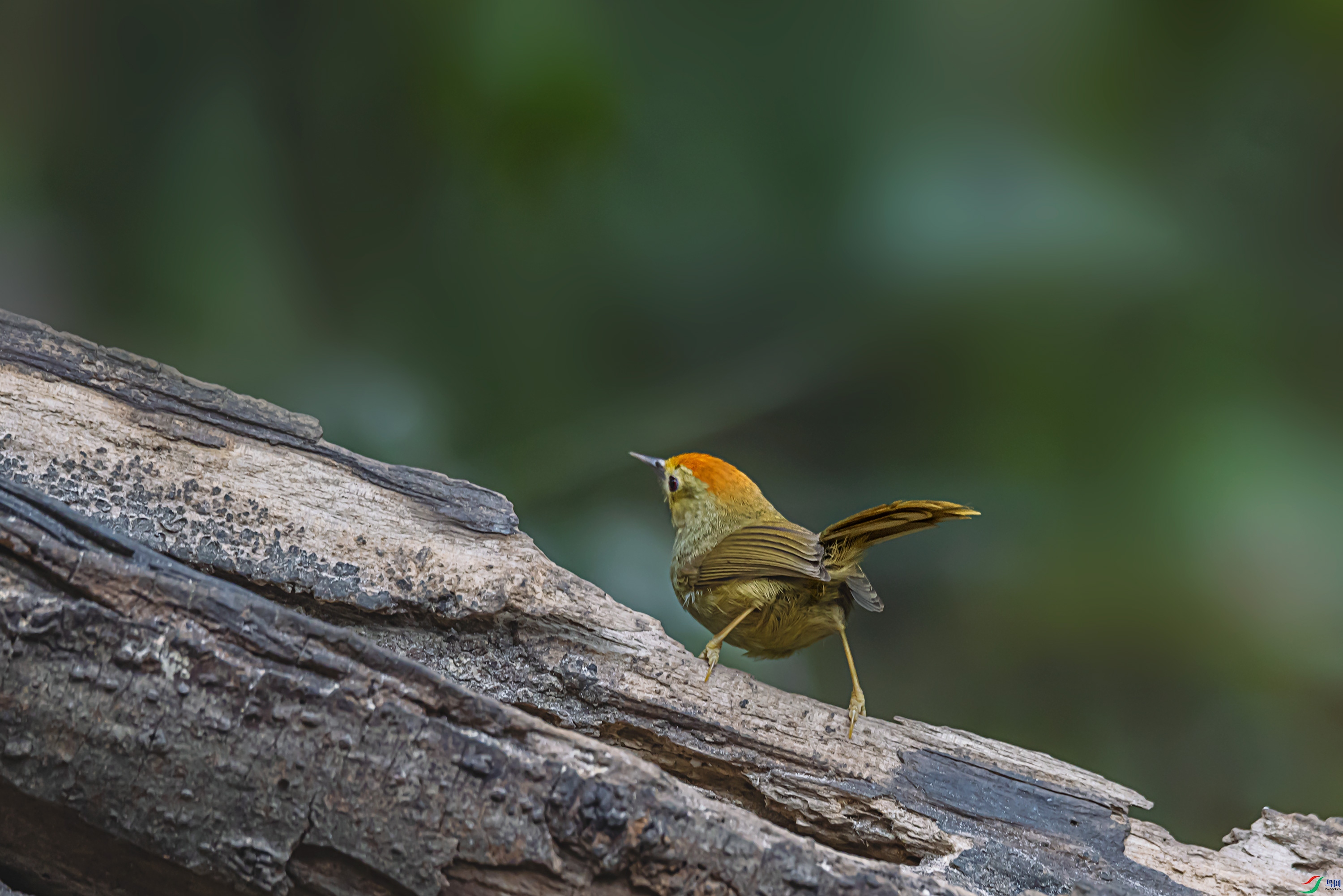 278A1551.jpg