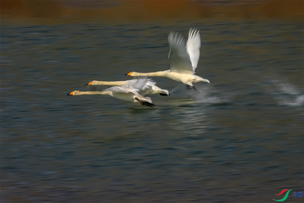 068A2175-3.jpg