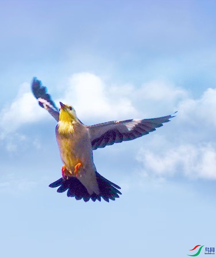 1755651513514.jpg