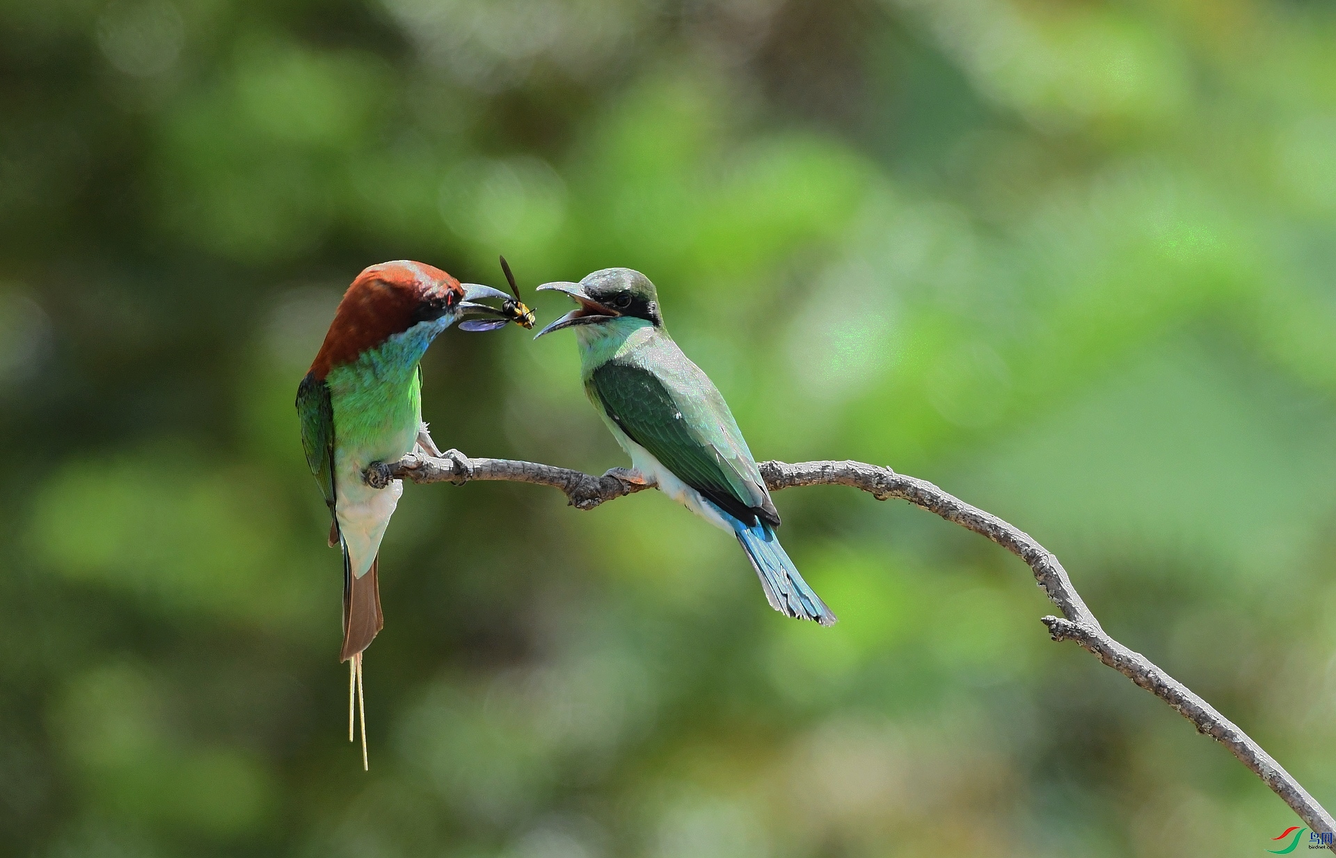 DSC_8848.jpg