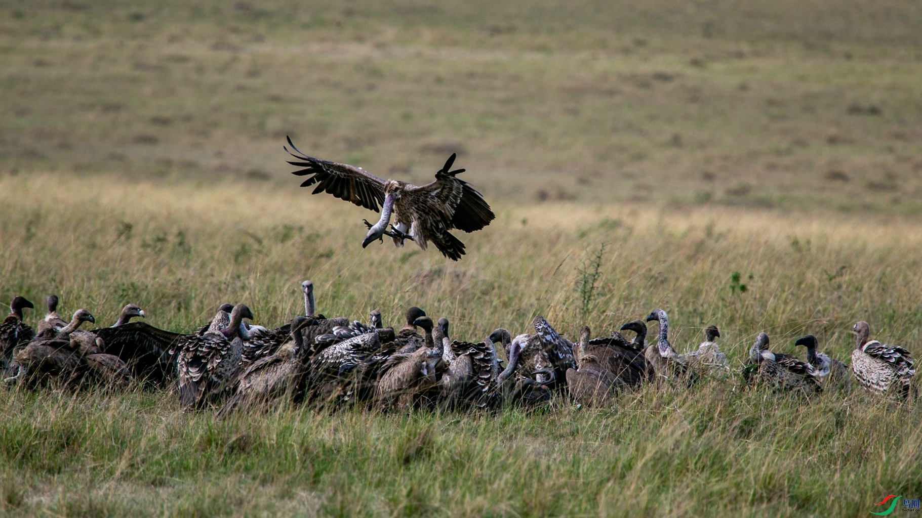 �ڰ�أ��