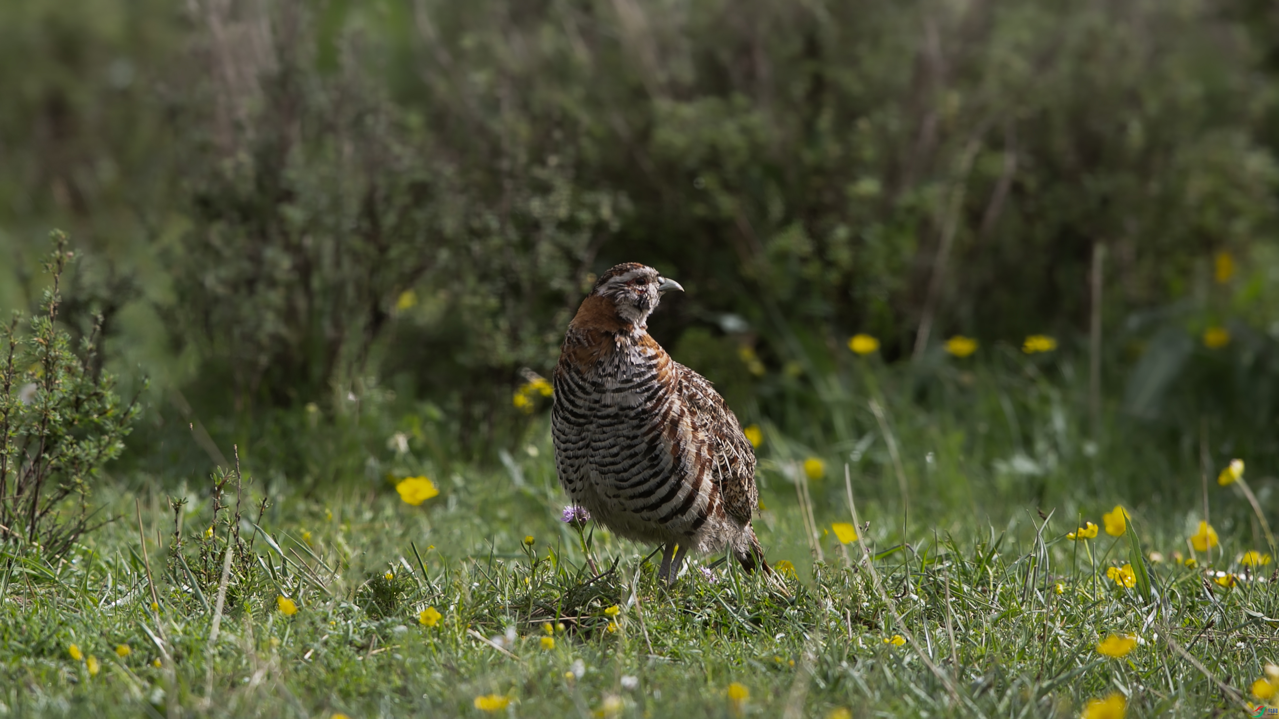 X39A1568 ����.jpg