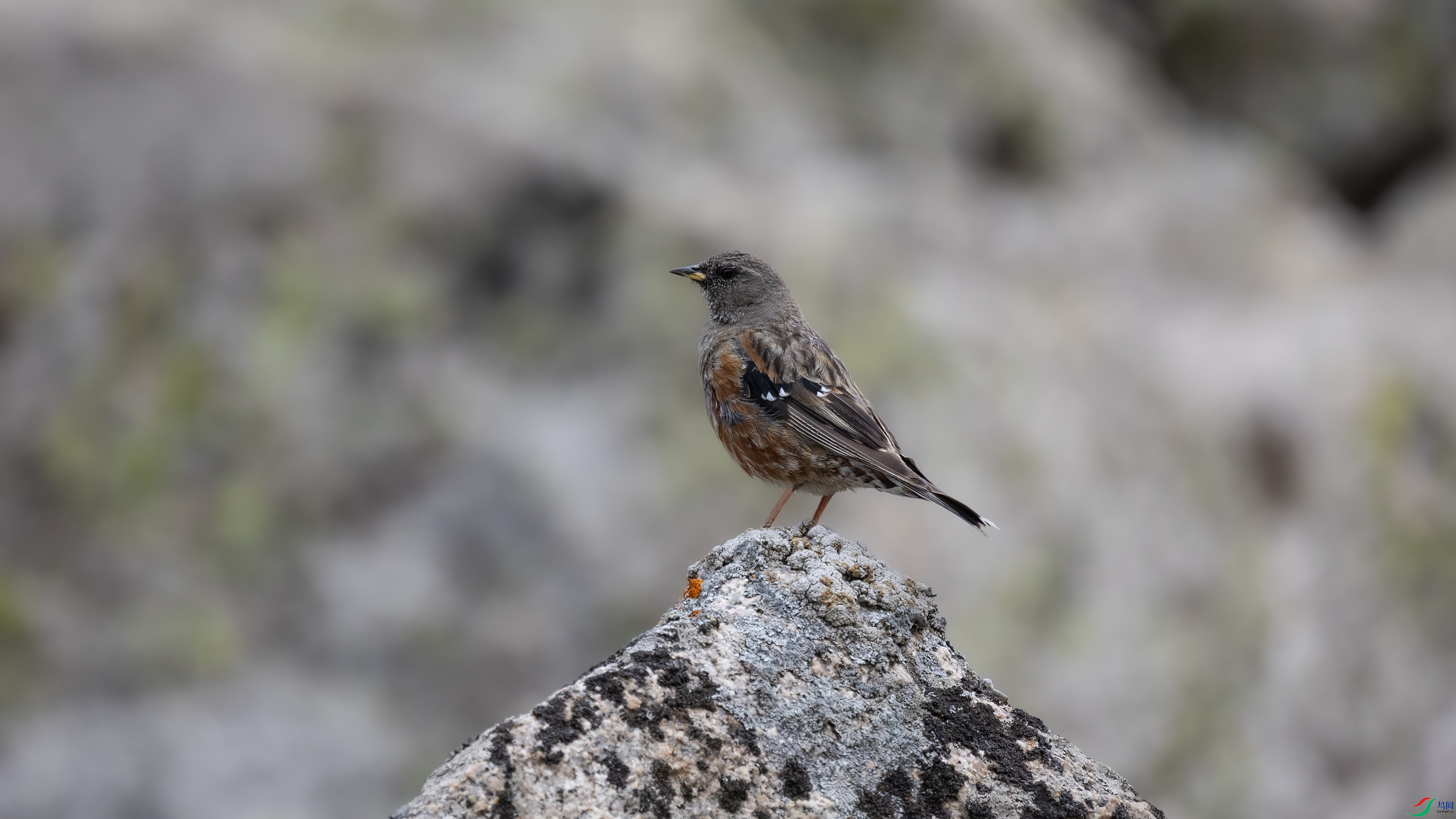 381A0157 ����.jpg