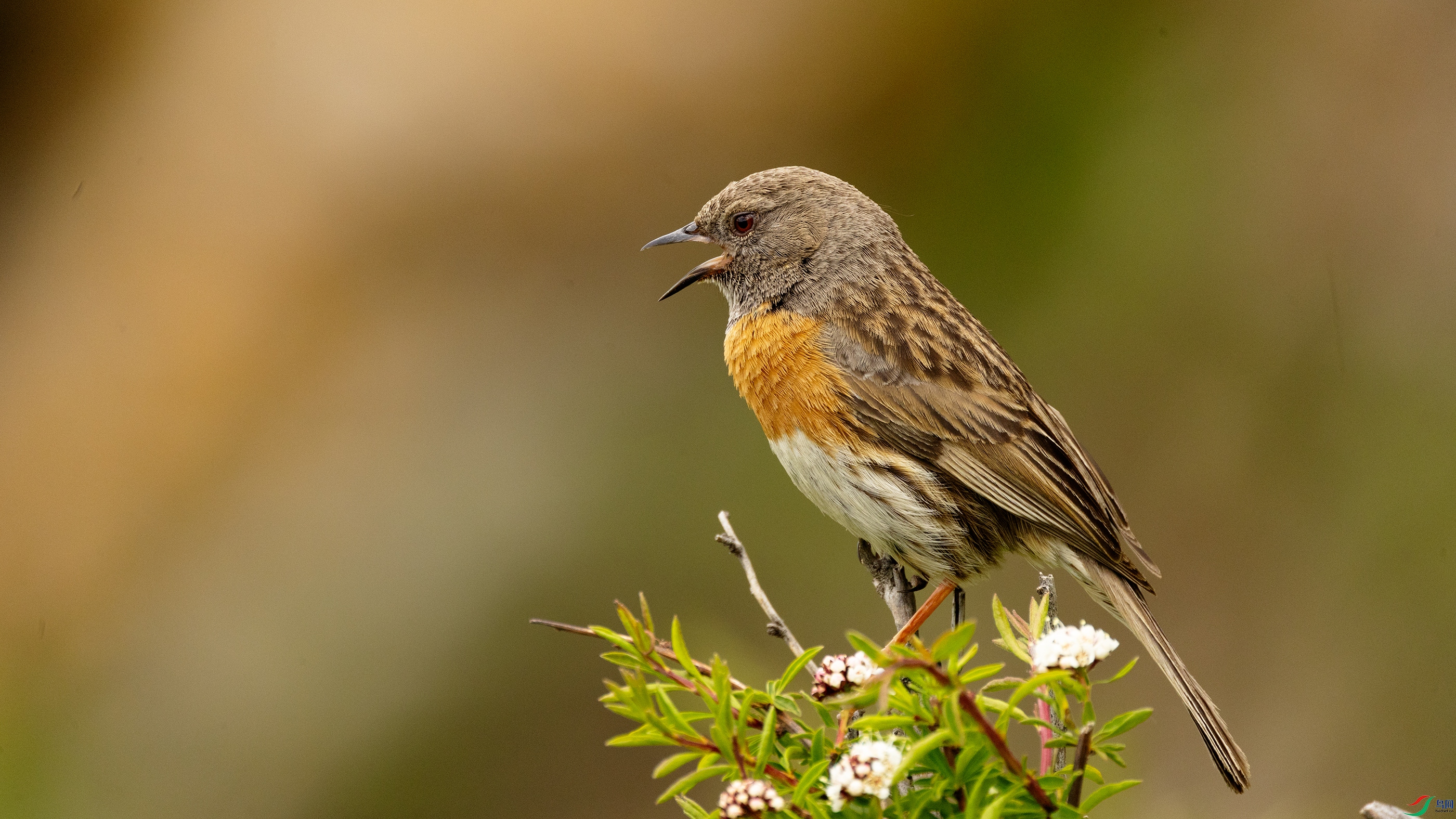 7X5A3469 ����.jpg