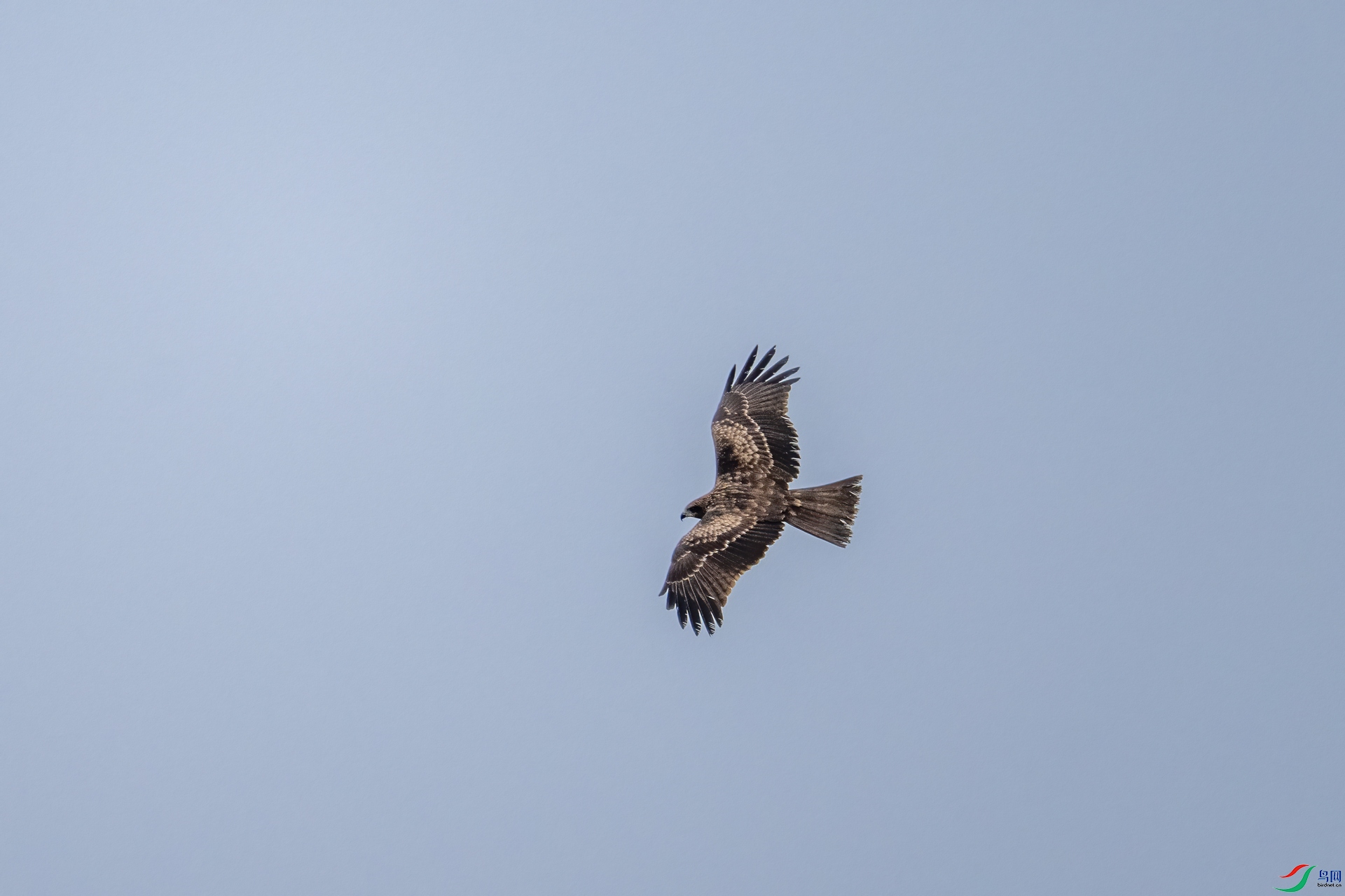 DSC_7925.jpg