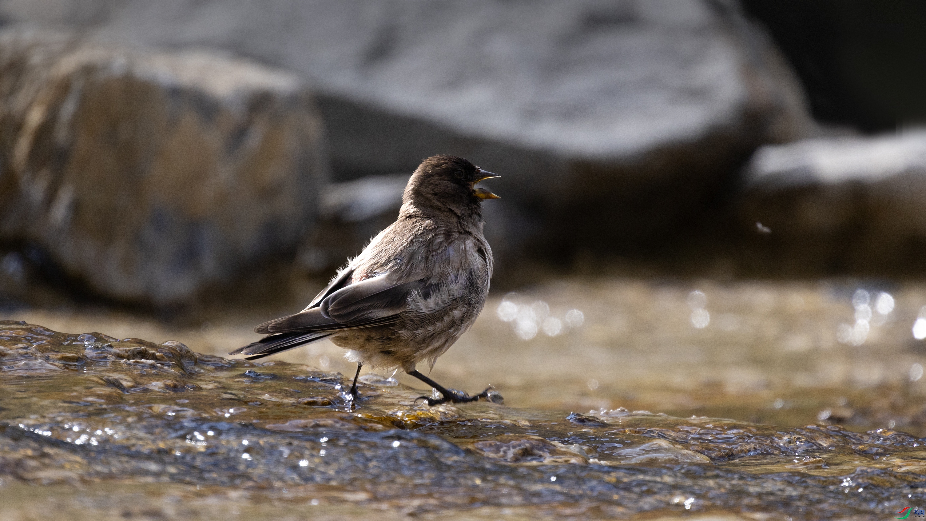 7X5A7768 ��5455.jpg